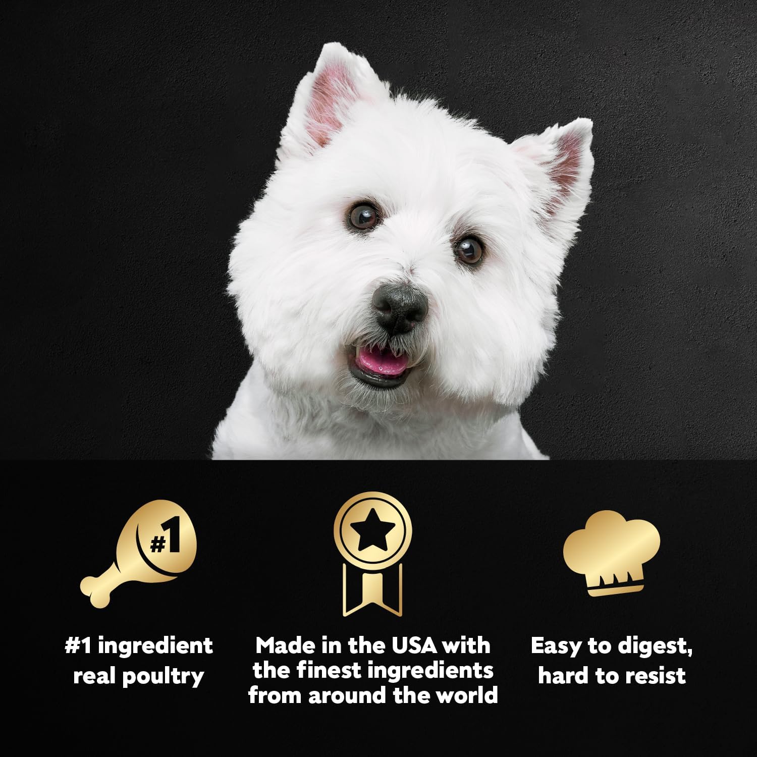 Cesar Wet Dog Food, Steak Lovers Variety Pack, 3.5 oz, 36 Count | Real meat #1 ingredient, easy peel trays, 100% complete & balanced, no fillers, no added sugar, no artificial flavors