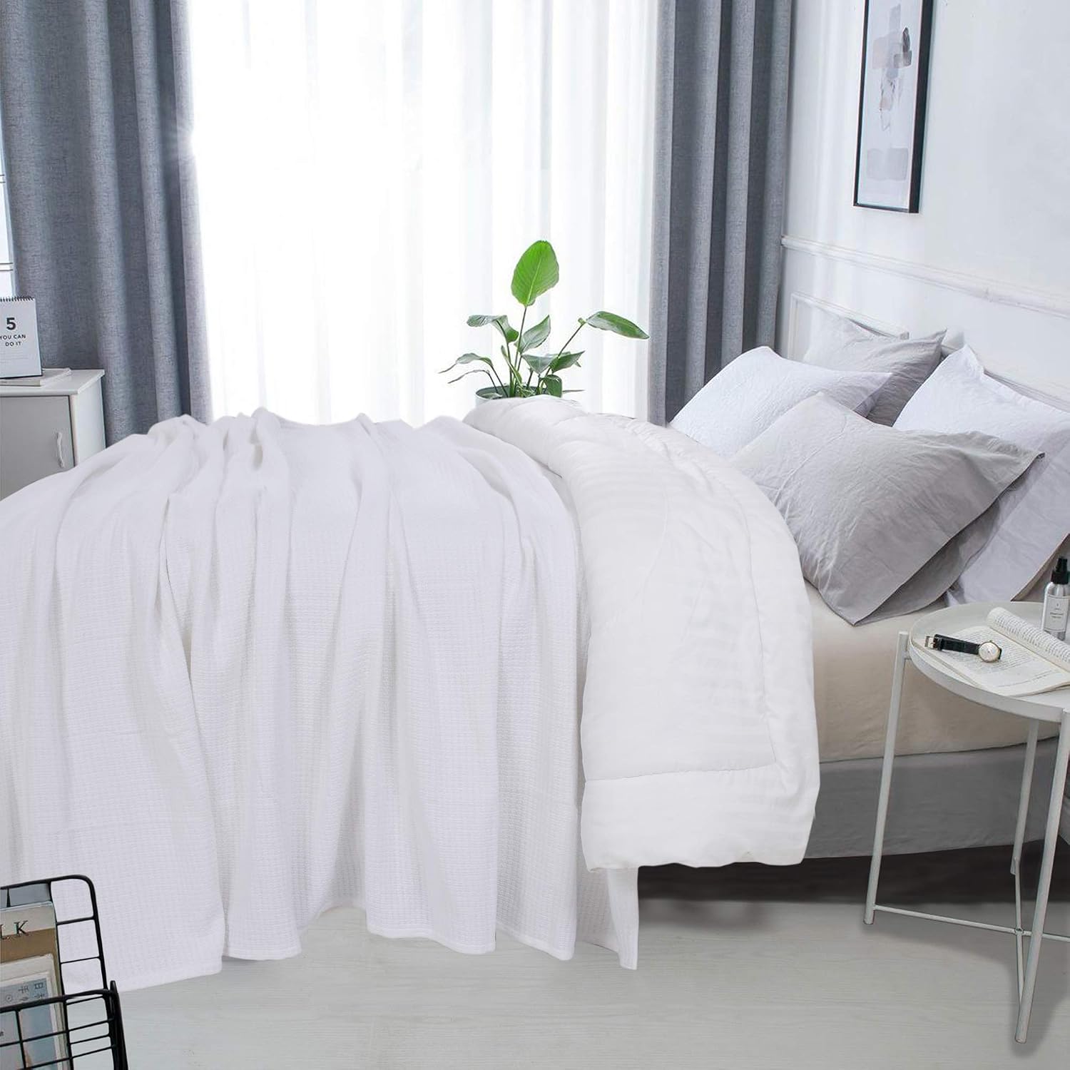 DOLLCENT 100% Cotton Queen Size Blanket for Bed, Premium Soft Combed Lightweight Blankets, Washed Breathable Cozy Bed Throw Blanket, Ivory Queen Cotton Blankets for All Season: Ivory (90"x90")