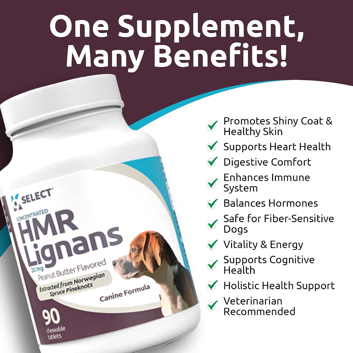 HMR Lignans for Dogs - Enhancer for Overall Wellness, Immune Support for Dogs - Norway Spruce Extract Holistic Dog Health - Digestion