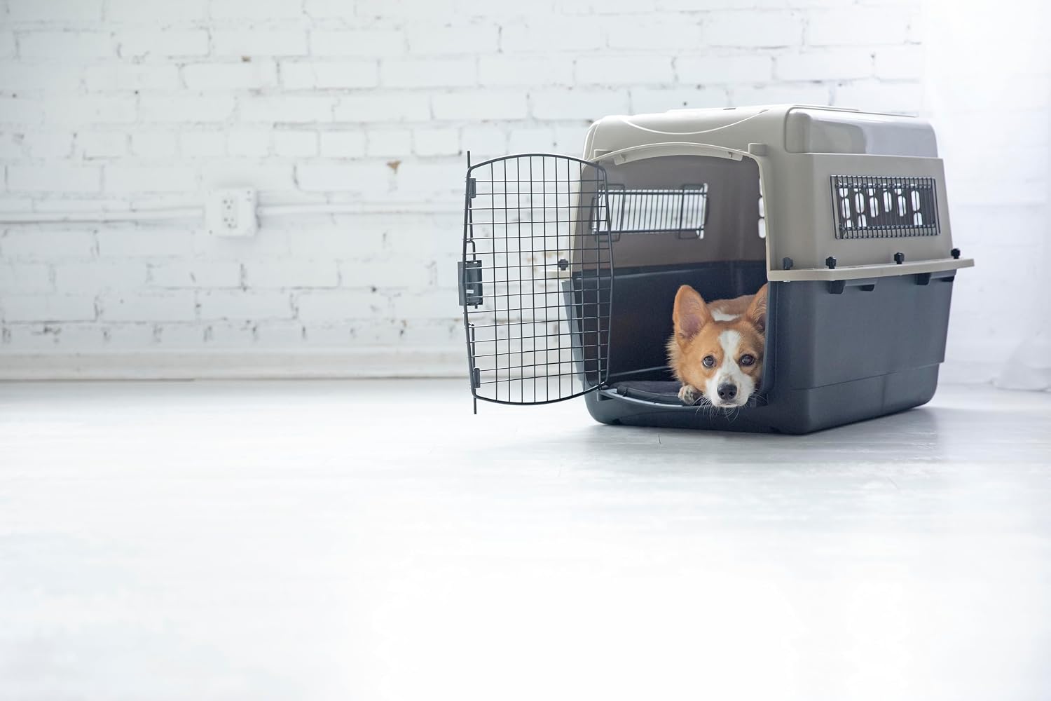 Petmate Ultra Vari Dog Kennel for Small to Medium Dogs (Durable, Heavy Duty Dog Travel Crate, Made with Recycled Materials, 28 in. Long) 25 to 30 lbs