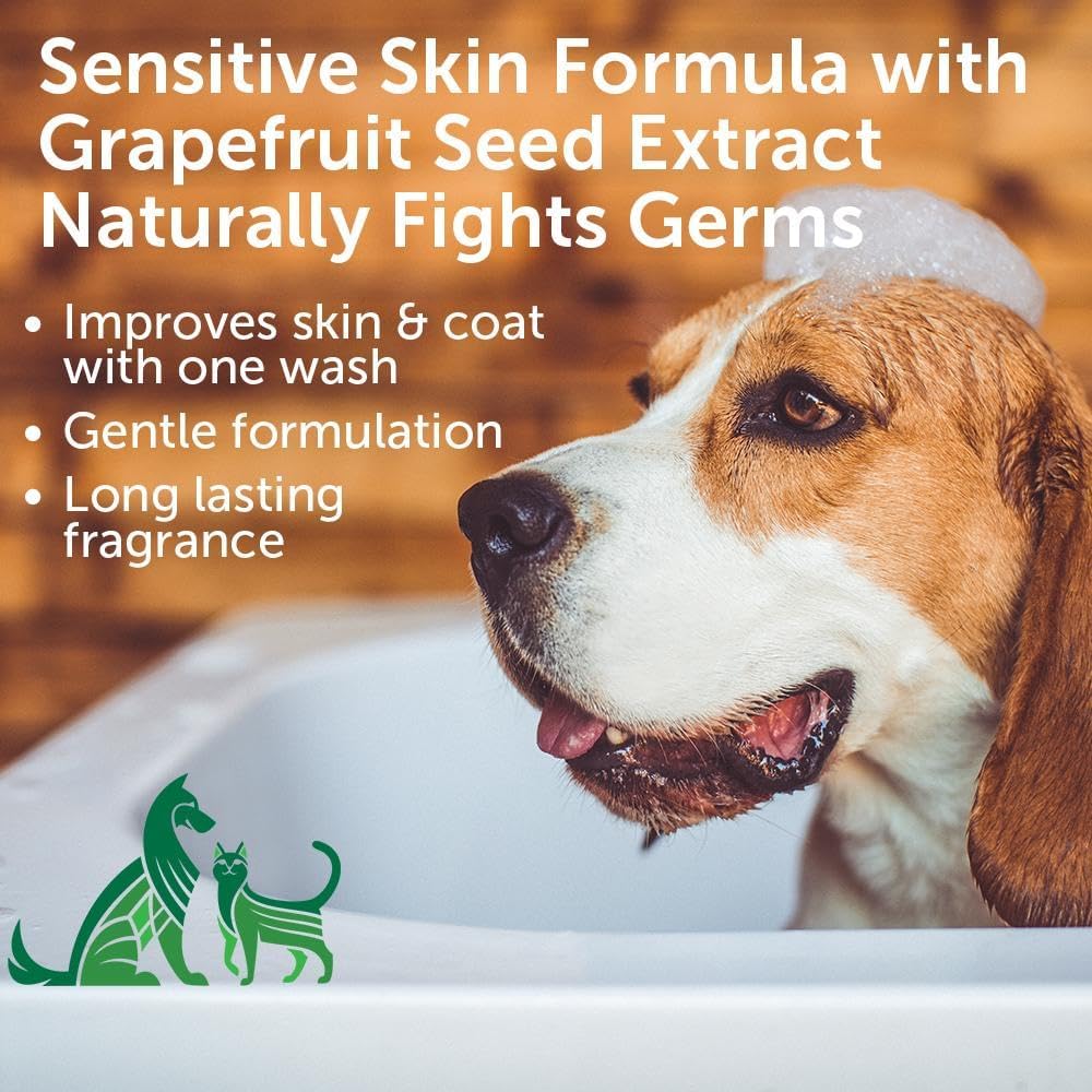 Nootie Cucumber Melon Pet Shampoo for Dogs & Cats, Gentle Oatmeal Formula | 16 oz, dog wash for sensitive skin, helps relieve dry itchy skin for dogs, natural ingredients, cleans & conditions