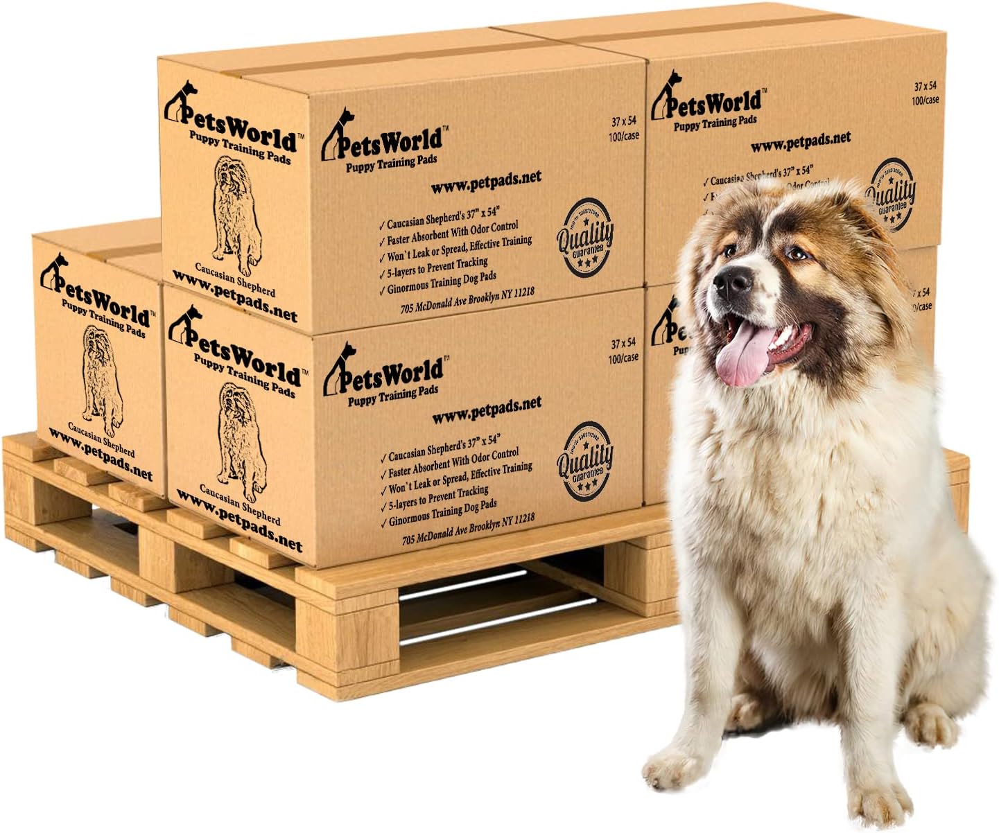 PetsWorld Enormous Dog Pee Pads 37"x54" 50 Count – XXXL Pet Pee Pads for Giant Dogs & Pets, Heavy Duty Leak-Proof Dog Training Pads, Super Absorbent Quick-Dry Potty Pads with Adhesive Tabs
