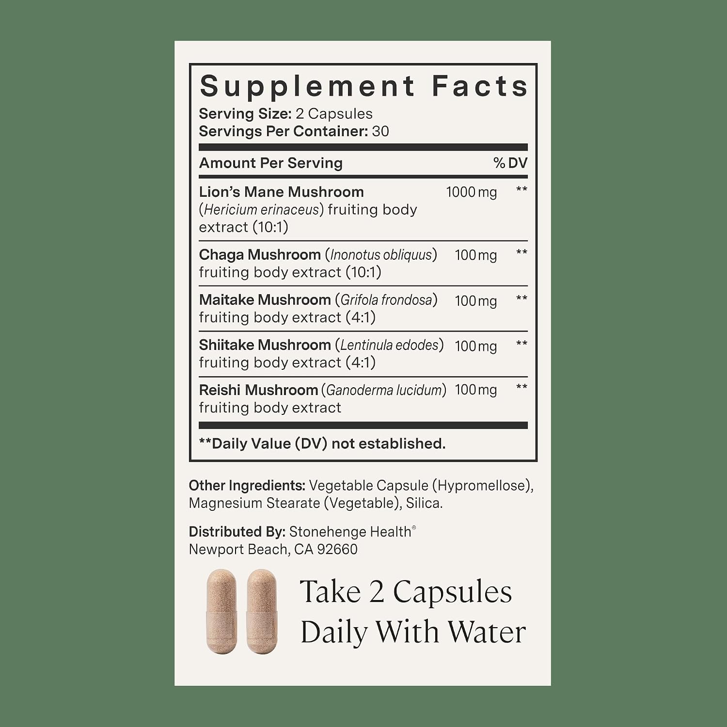 Stonehenge Health Dynamic Mushrooms® | Lions Mane+ Brain, Memory, Focus