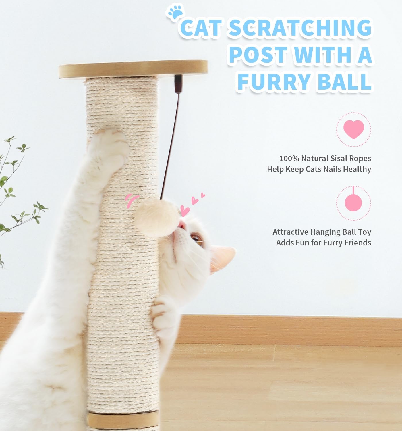 Made4Pets Kitten Toy Scratching Post for Indoor Cats with Ball Track