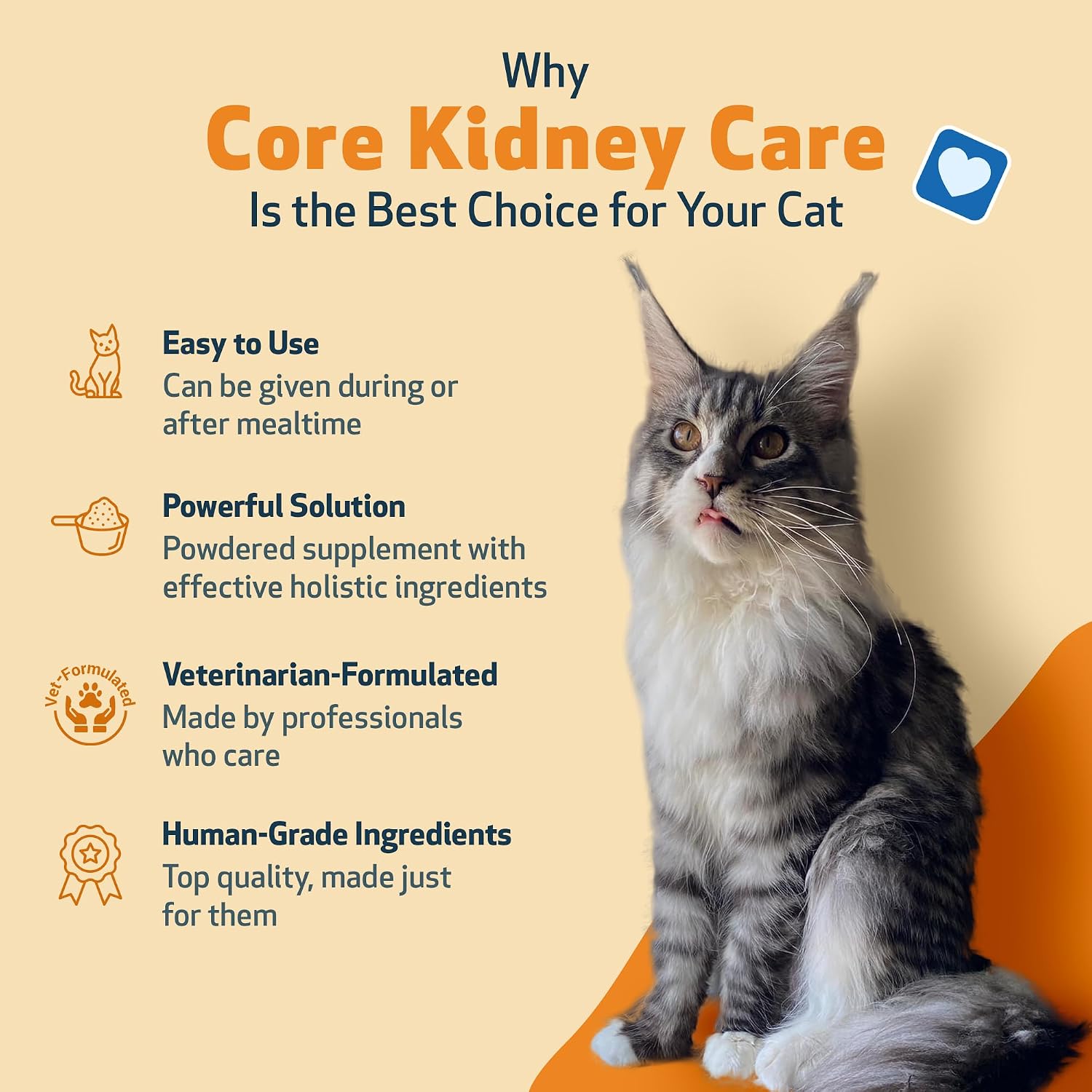 Pet Wellbeing Kidney Support Gold for Cats - Supports Normal Kidney Function & Detox, Healthy Hydration & Energy with Rehmannia & Dong Quai - NASC Certified & Vet-Formulated - 2oz Liquid Formula | NASC Certified & Vet-Formulated Liquid Kidney Support Sup…