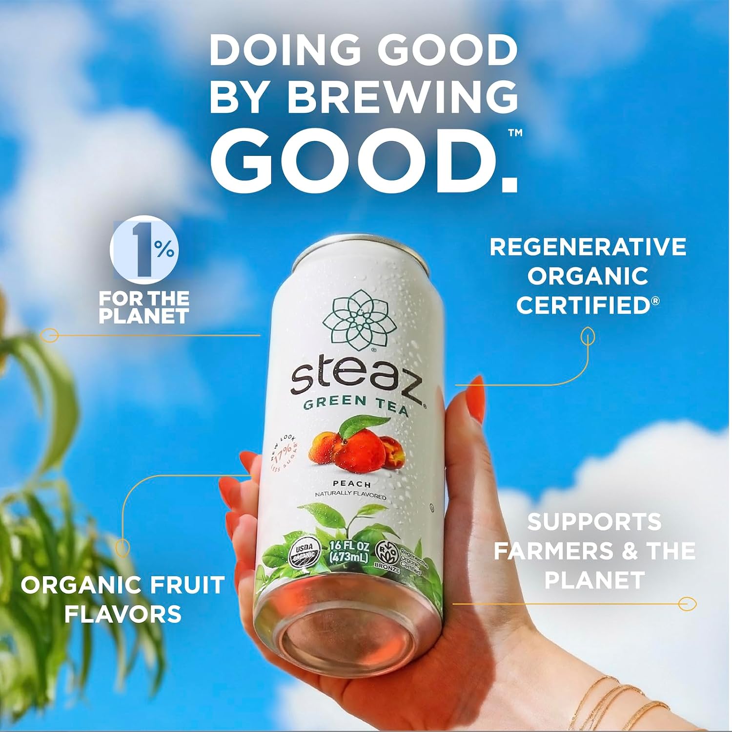 Steaz - Organic Green Tea - Peach (12 Pack) - 30mg Natural Caffeine, 70 Calories,Cane Sugar - Sweetened Iced Tea - Regenerative Organic Certified®️ - Vegan, Direct Trade - 12 Cans, 16 fl oz