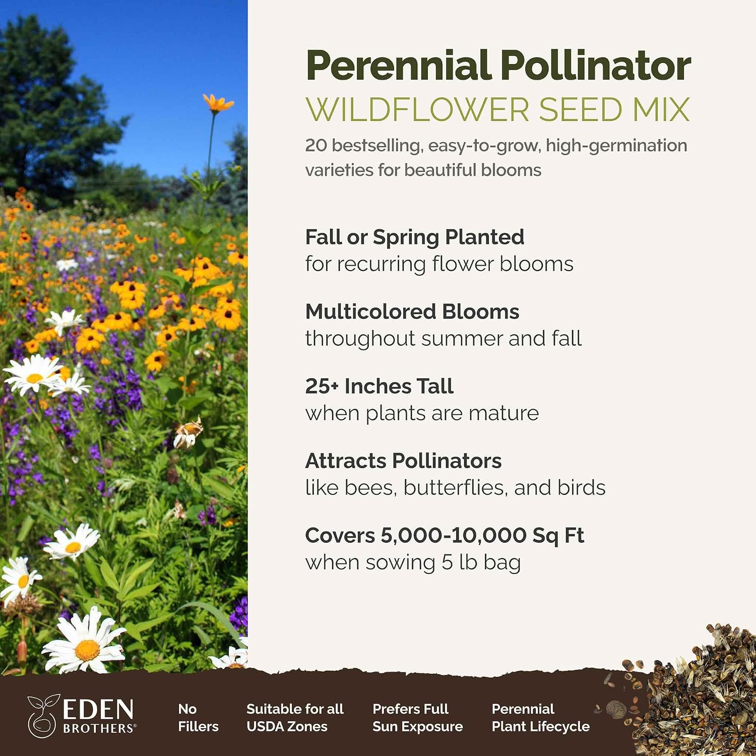 Eden Brothers The Bees Knees Pollinator Wildflower Seed Mix, 1/4 lb (135,000+ Seeds) Throw and Grow - 100% Pure, No Fillers - 18-Variety Non-GMO Annual + Perennial, Covers up to 1,100 SqFt, Zones 3-10