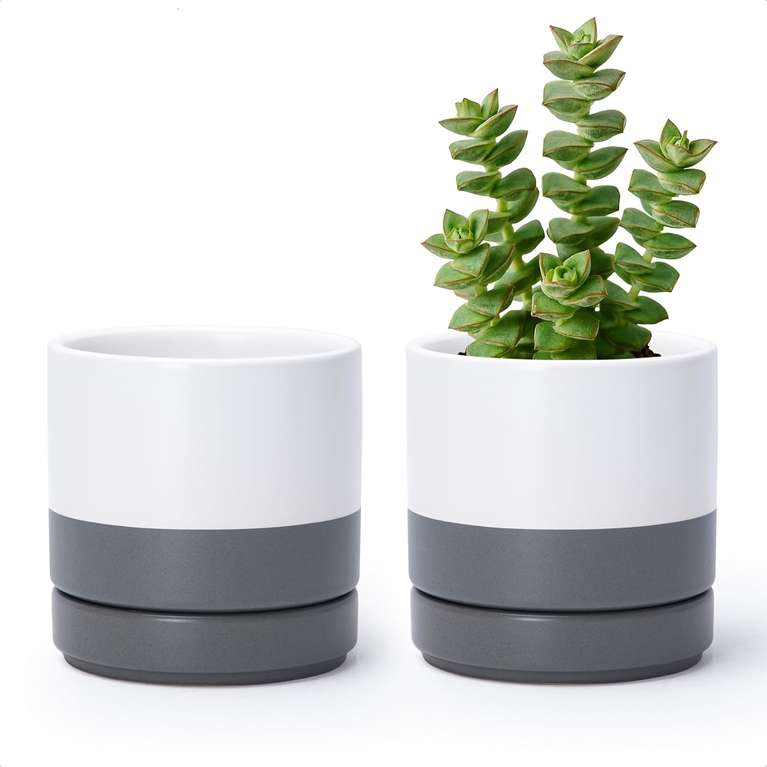 D'vine Dev 2-Pack Ceramic Pots with Saucers, White/Grey, 4.7 in, 94-V-B-6