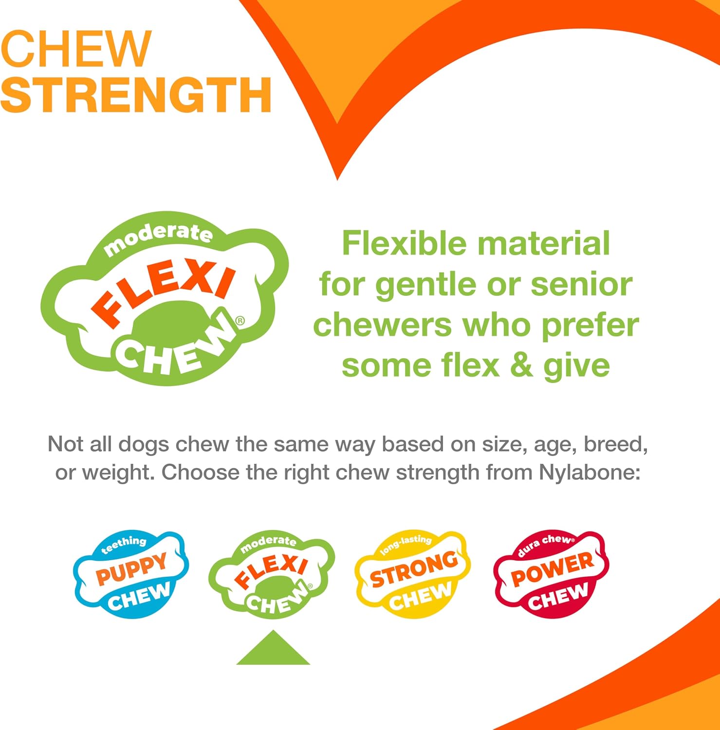 Nylabone Flexi Chew Tiny Gumabone Dog Chew Toys, XX-Small, 2 Count | Peanut butter & bacon flavor, x-small breeds, flexible material, fill with treats