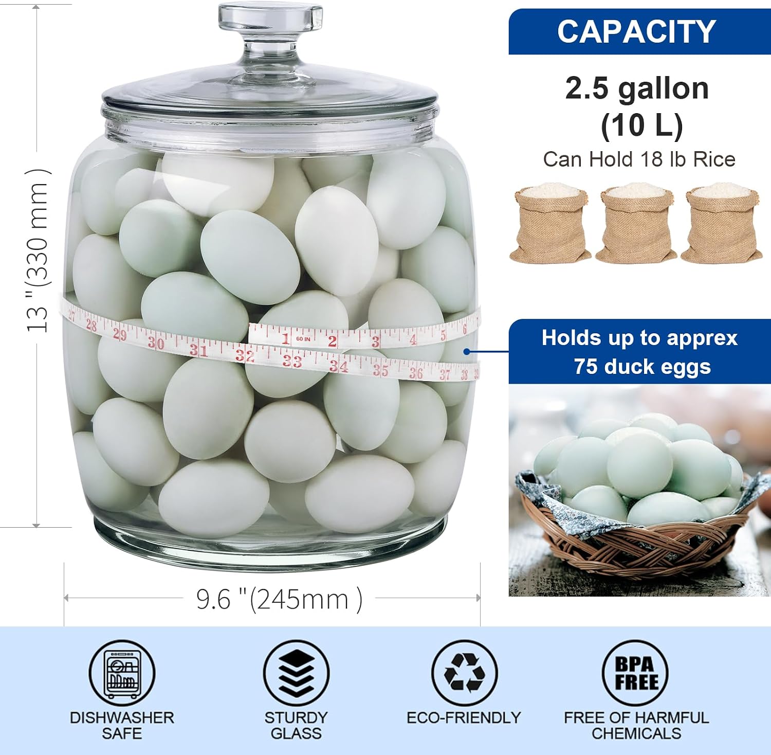 Daitouge 2.5 Gallon Glass Jars with Lids, Wide Opening Large Jar, 1 Pack