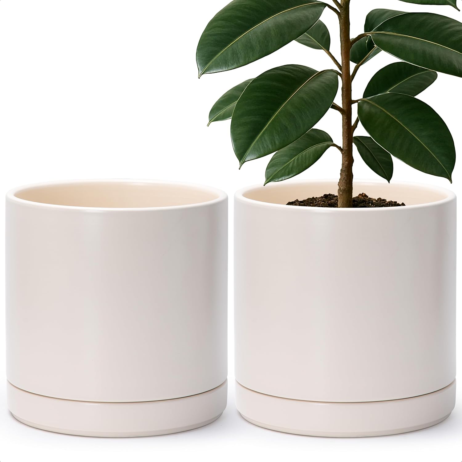D'vine Dev 2-Pack Ceramic Pots with Saucers, White/Grey, 4.7 in, 94-V-B-6
