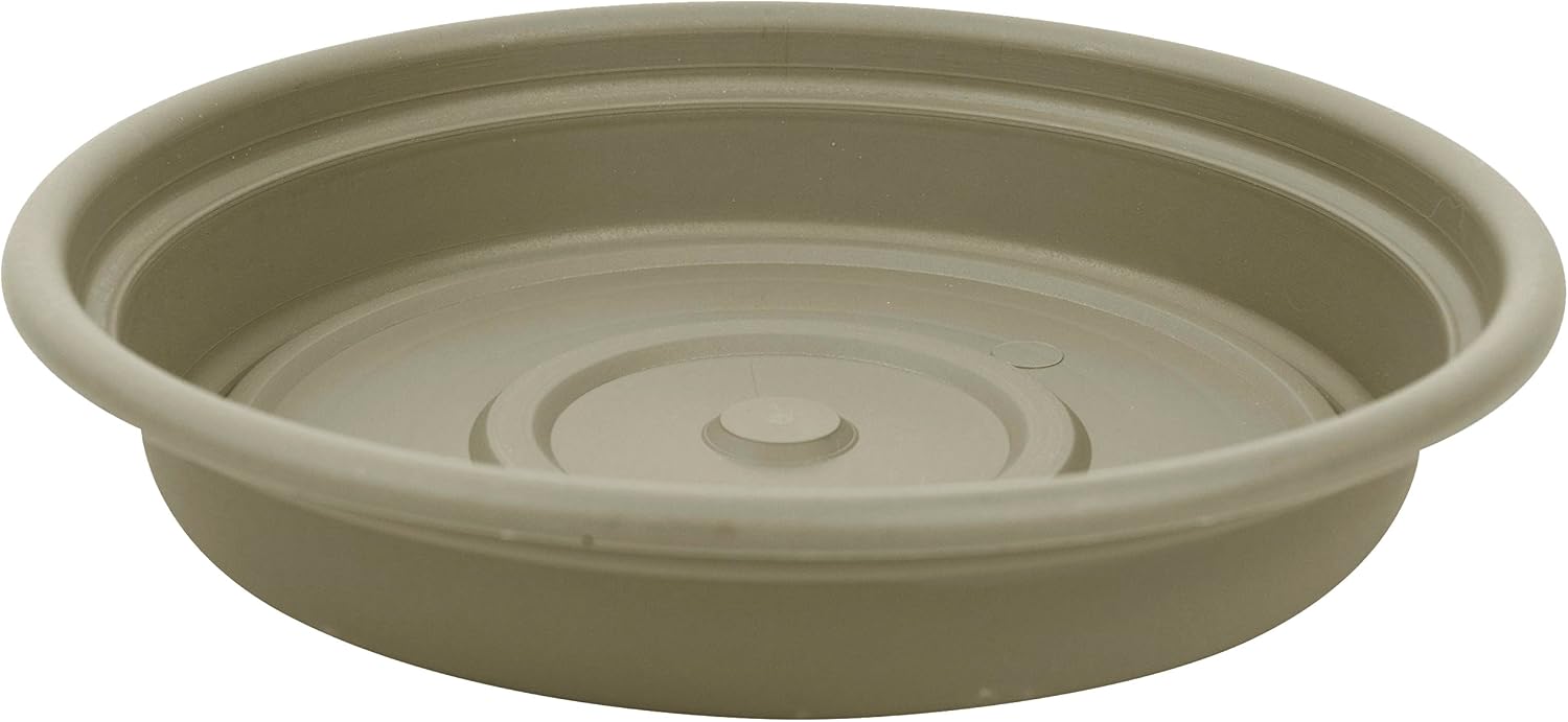 Bloem SDC8-46 Dura Cotta Plant Saucer, Terra Cotta, 8"
