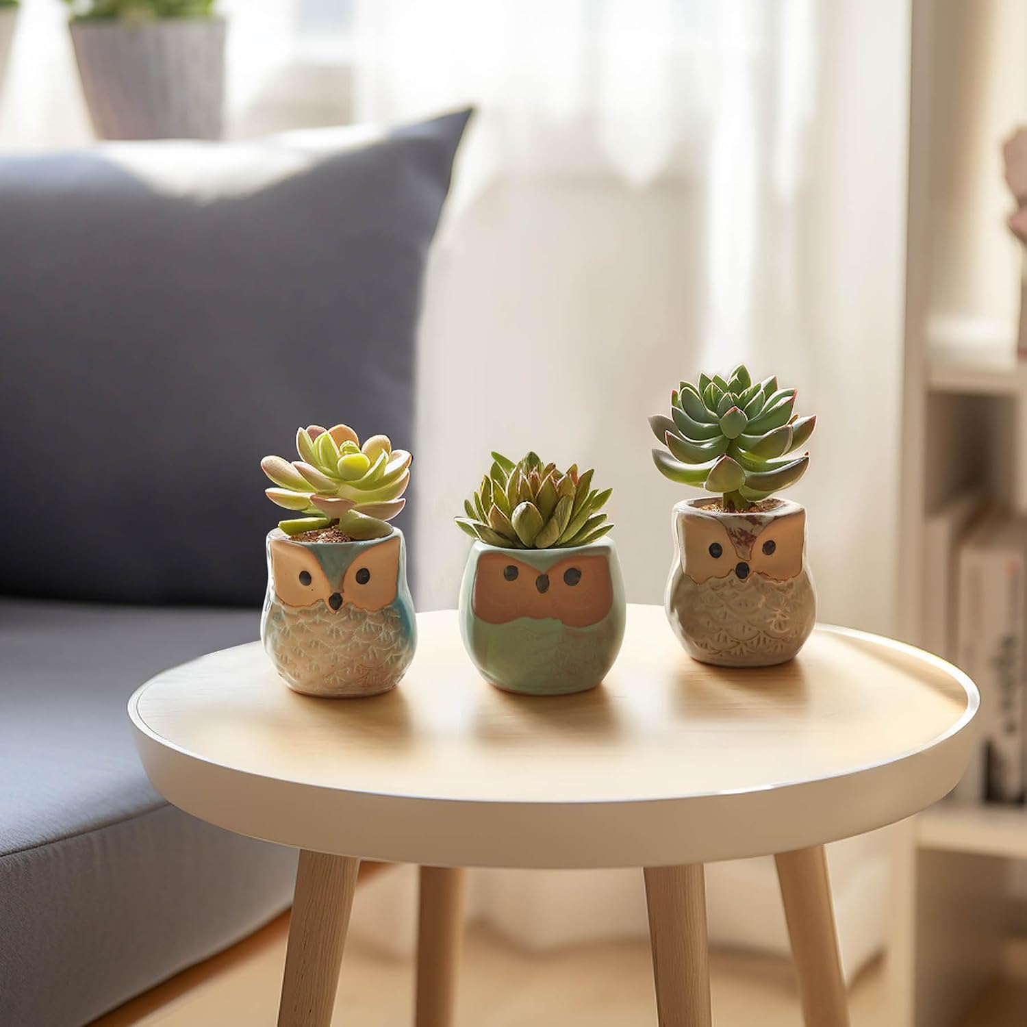 T4U Mini Succulent Ceramic Pots for Gifts, Small Planters for Decor 6 Pack | Planters with Drainage, for live cactus plants, bonsai tree starter pots, indoor windowsill decor, office desk accents