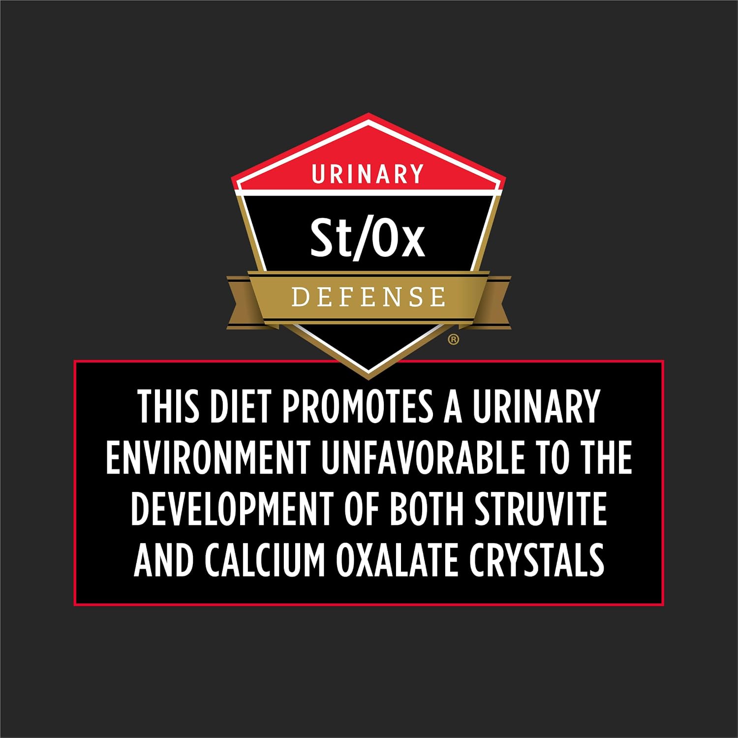 Pro Plan Veterinary Diets Purina DM Dietetic Management Feline Formula Dry Cat Food - 6 lb. Bag