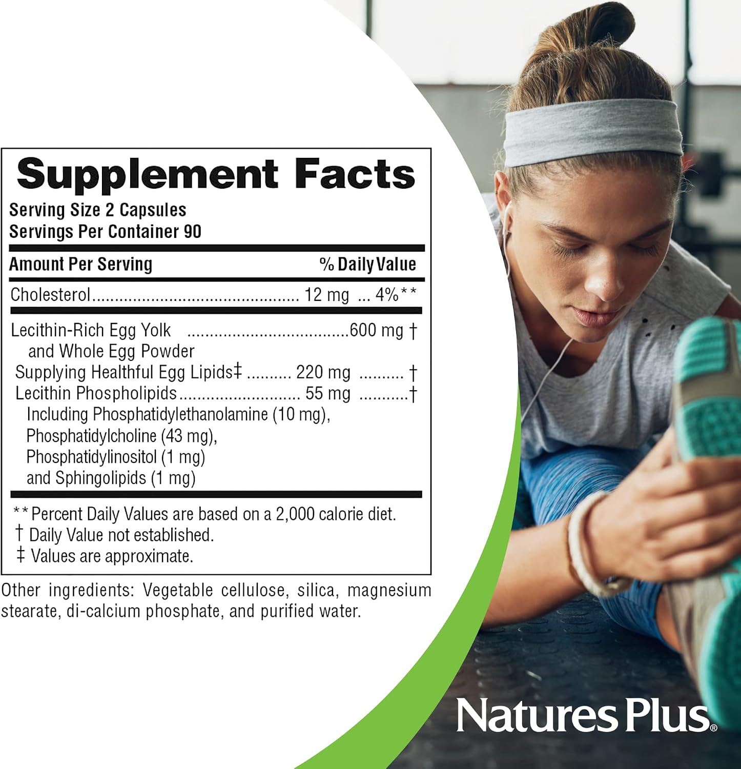 NaturesPlus Egg Yolk Lecithin - 600 mg, 180 Capsules - Soy Free, Gluten Free - 90 Servings