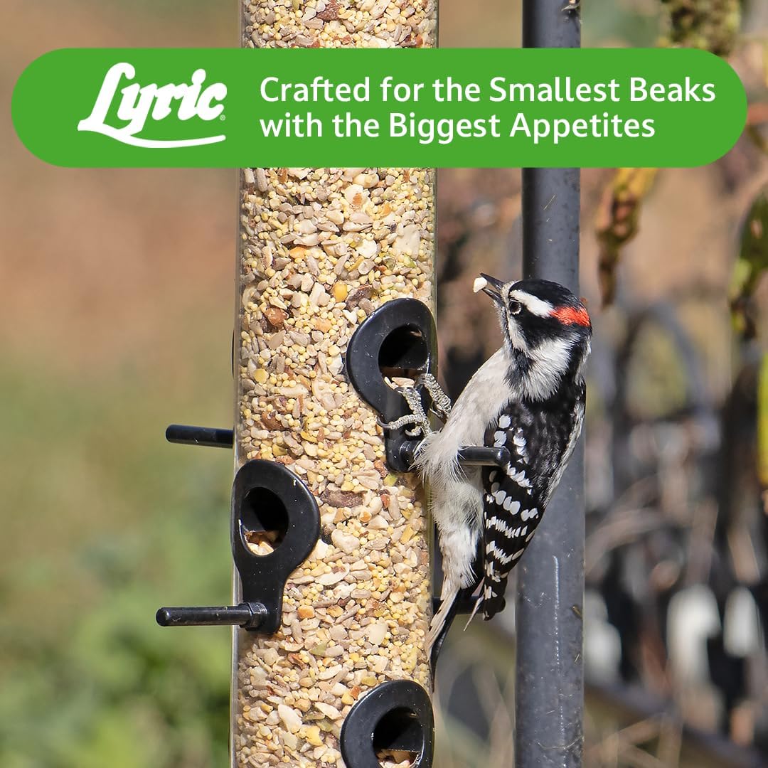Lyric Fine Tunes Wild Bird Seed Mix - No Waste Bird Food Mix - Attracts Bluebirds, Finches, Chickadees & More - Seed for Outside Feeders - 15 lb Bag | Attracts Bluebirds, Finches, Chickadees and more - Seed for outside feeders