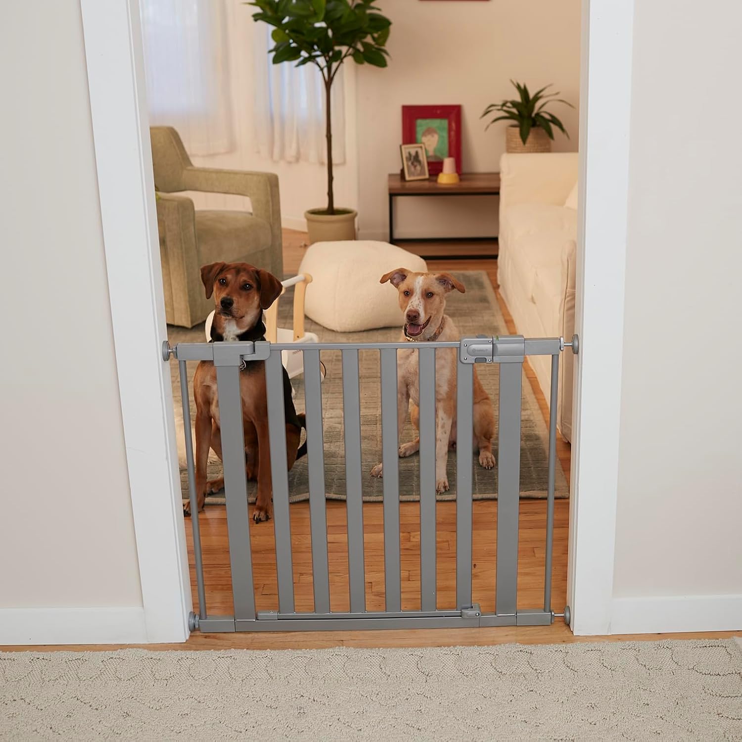 Safety 1st Easy Install Walk Thru Baby Gate for Doorway With Door, Dog Gates, Fits 29"-38", Easy Install 28" Tall, White