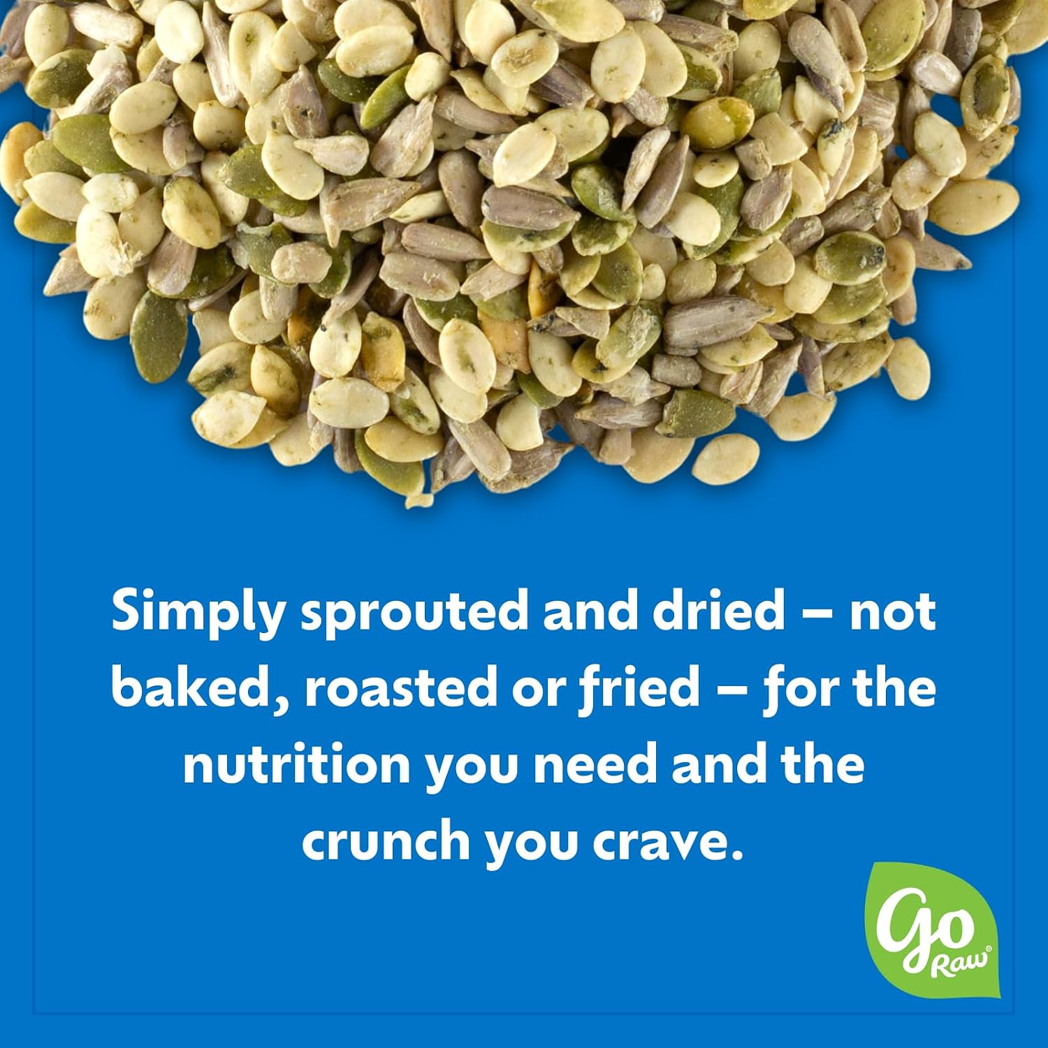 Go Raw Organic Sprouted Pumpkin Seeds - Sea Salted Pepita Snack | Keto, Non-GMO, Vegan, Gluten-Free, Kosher, Paleo, Protein-Packed Superfood, Healthy Vegan Snack for Adults and Kids, 14oz Bag