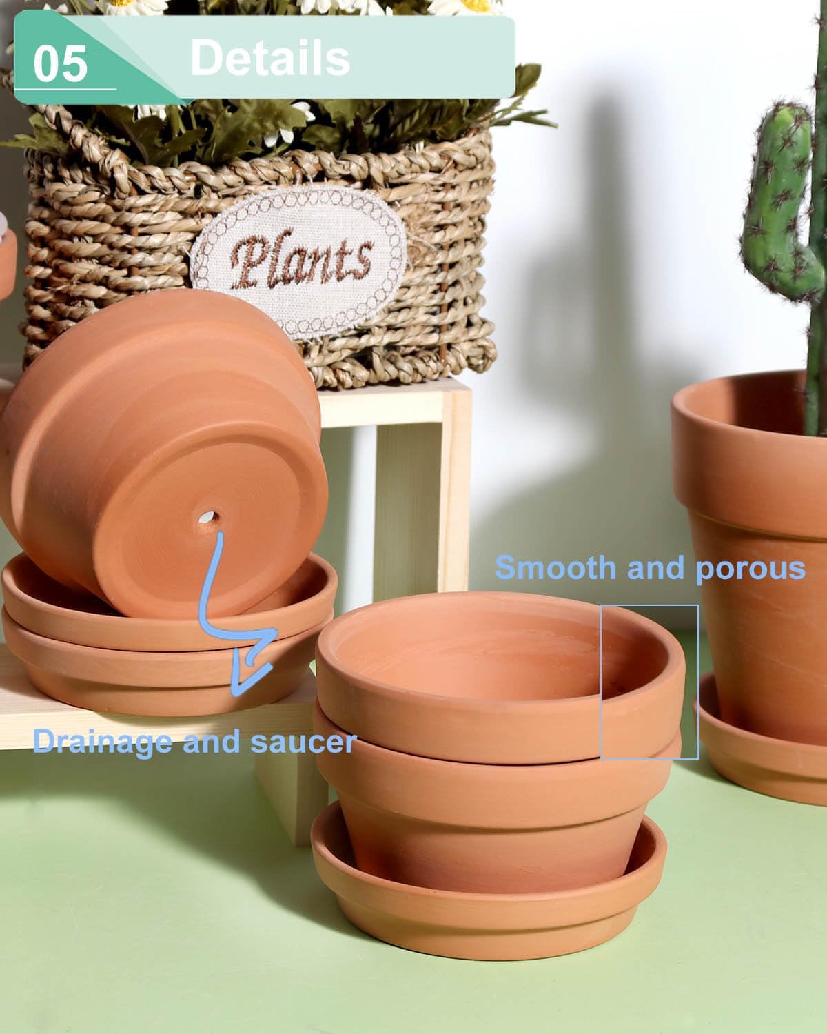 vensovo 3.7 Inch Terracotta Shallow Succulent Pots with Saucers, 6 Pack