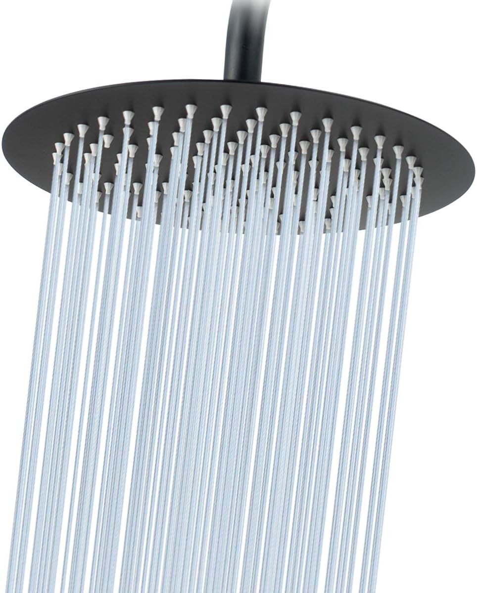 NearMoon Rain Shower Head, Ultra-Thin Design-Pressure Boosting, Awesome Some Experience, High Flow Stainless Steel Rainfall Head (10 Inch