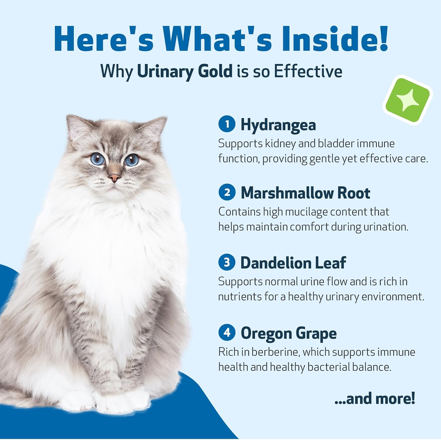 Pet Wellbeing Urinary Gold for Cats - Urinary Tract & Bladder, 2 oz | NASC Certified & Vet-Formulated Liquid Supplement with Marshmallow Root & Echinacea for Urinary System & Bladder Support