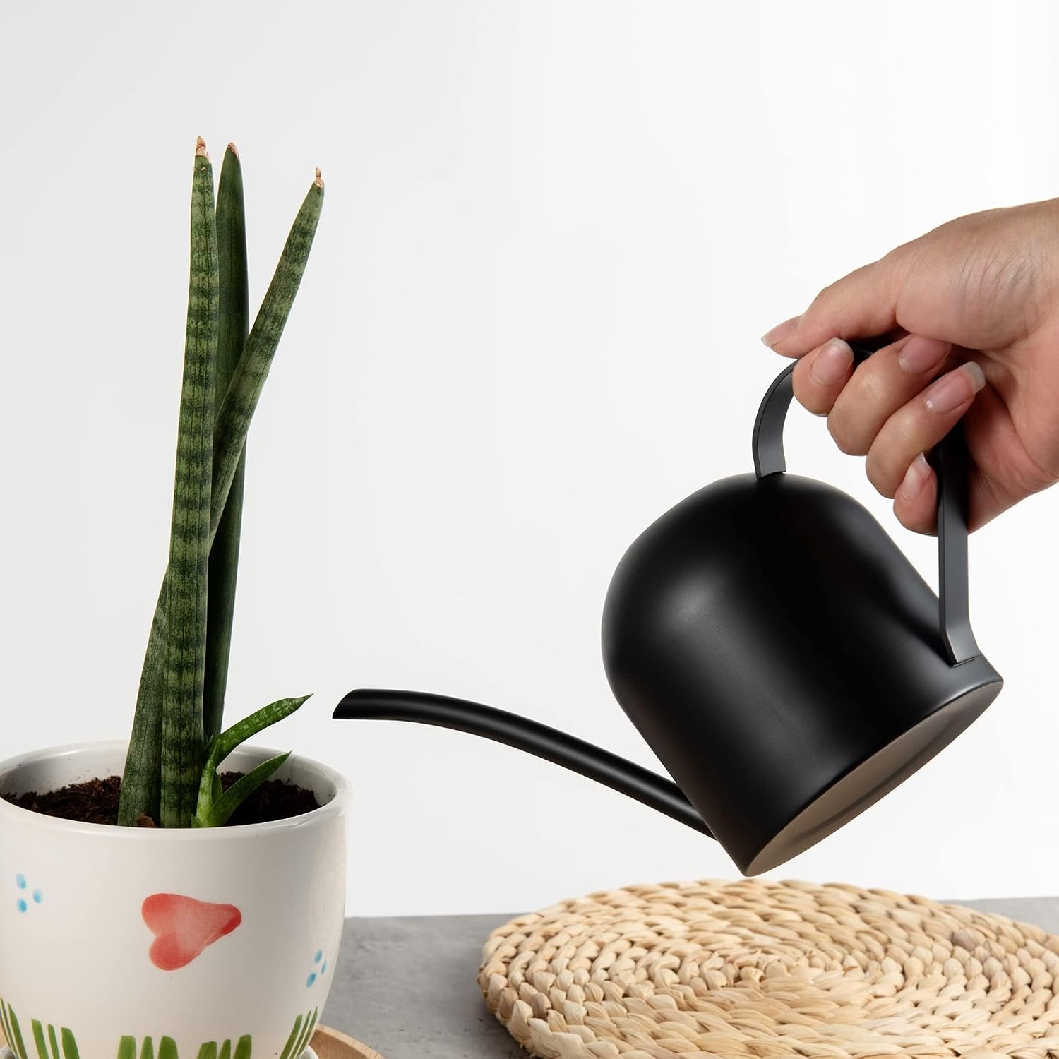IMEEA Indoor Watering Can for House Plants 33oz/1L Brushed Stainless Steel Watering Can with Long Spout for Succulents, Bonsai