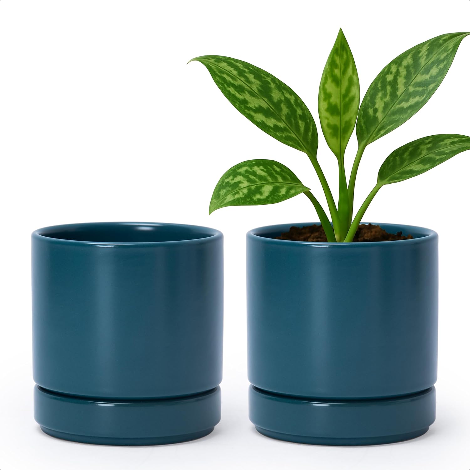 D'vine Dev 2-Pack Ceramic Pots with Saucers, White/Grey, 4.7 in, 94-V-B-6