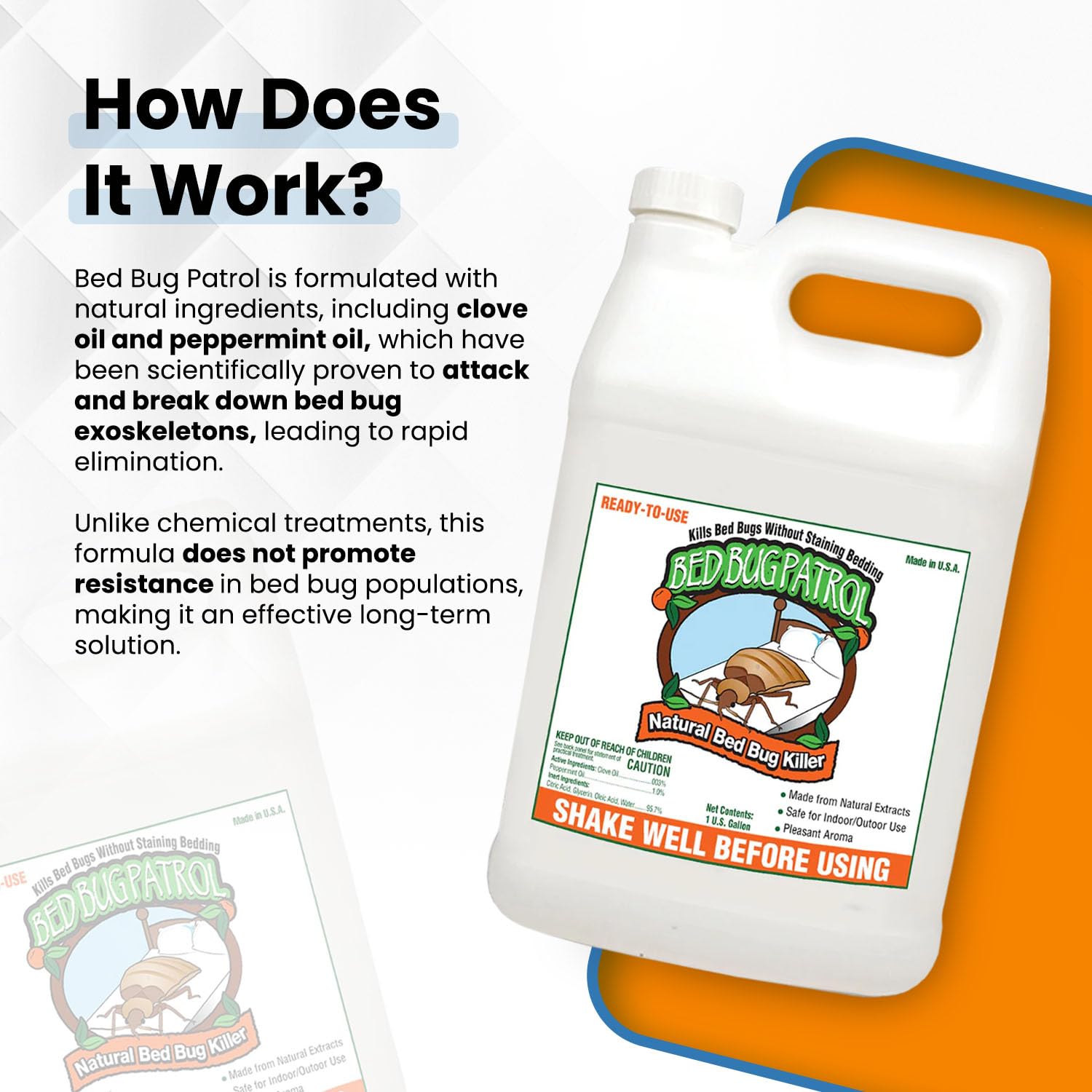 Bed Bug Patrol Bed Bug Spray & Bed Bug Killer for Home, Made in USA - 24 oz | Mattresses, Furniture, Seams, Cracks & Crevices | Targets Adult Bed Bugs, Eggs & Larvae | Plant-Based | Pet & Child Safe