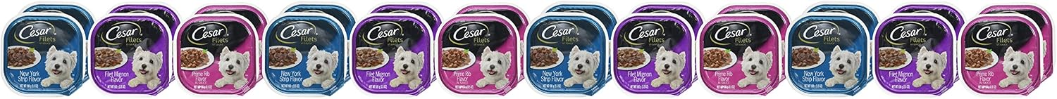 Cesar Filets in Gravy Wet Dog Food, Steak Mix Variety, 3.5 oz, 24 Count | Filet Mignon, New York Strip & Prime Rib, real meat, slow-cooked, no fillers/added sugar/artificial flavors, easy peel trays