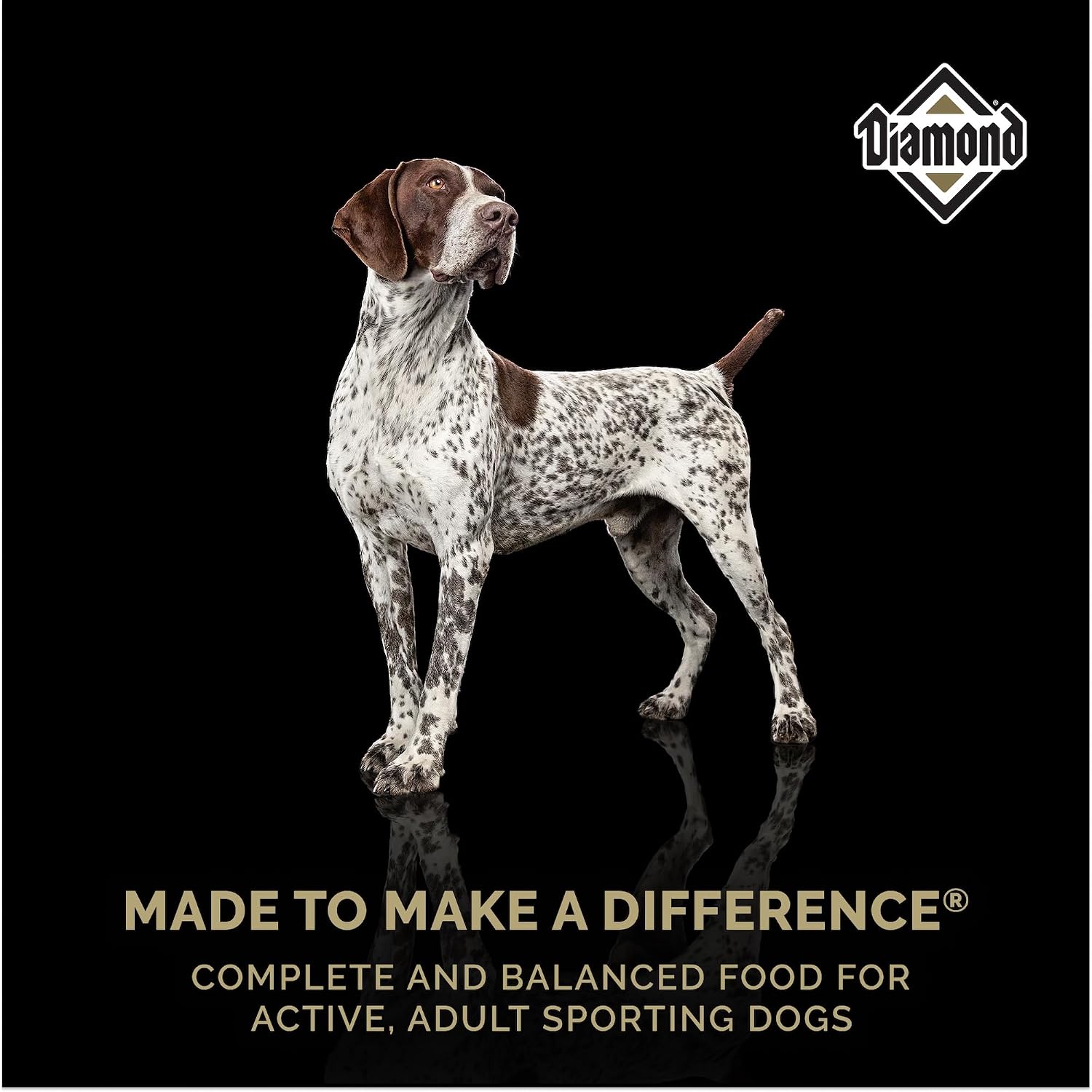 Diamond Maintenance Adult Dry Dog Food, Chicken Protein, 40lb | For Moderately Active Dogs | Omega Fatty Acids Help Support Healthy Skin & Shiny Coat | Guaranteed Probiotics