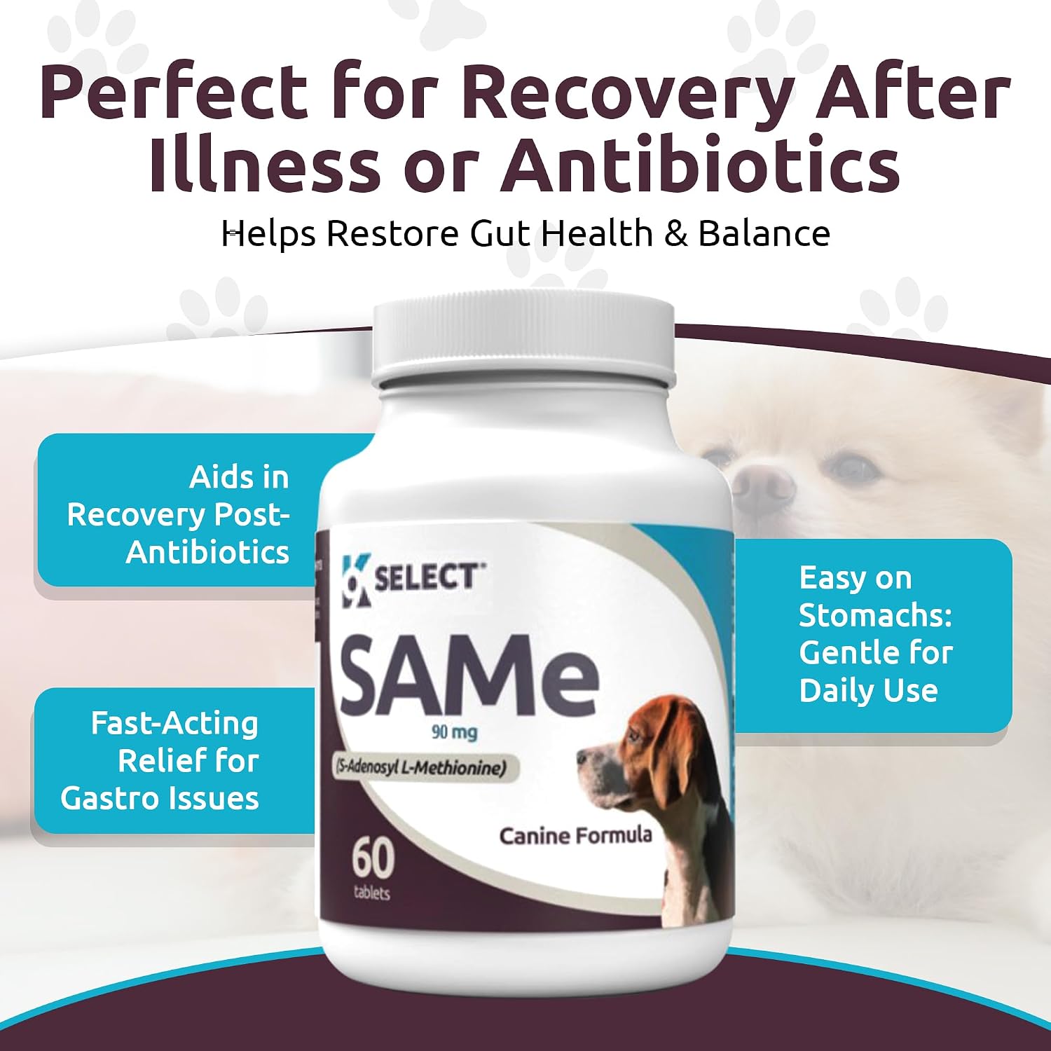 K9 Select Pet Probiotics for Dogs with Inulin – Dog probiotics for Digestive Health & Gut Support with Digestive Enzymes for Dogs