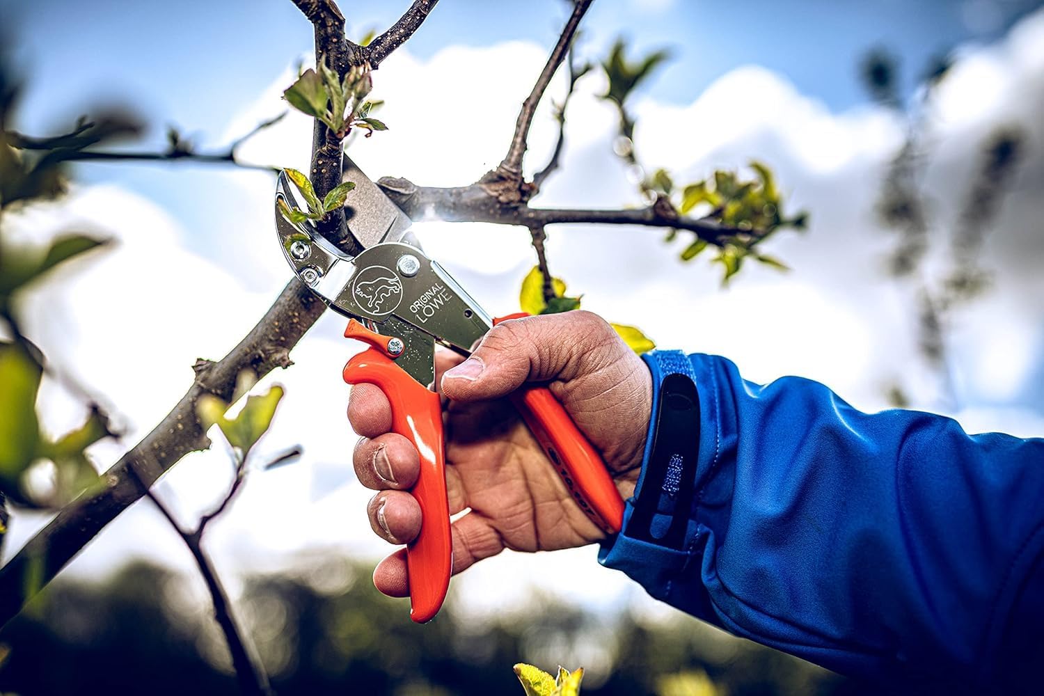 Original LÖWE 10 Professional Anvil Pruning Shears 10.107 with Bypass Geometry - Innovative Sharp Shears with Ergonomic Handles and Non-Stick Steel