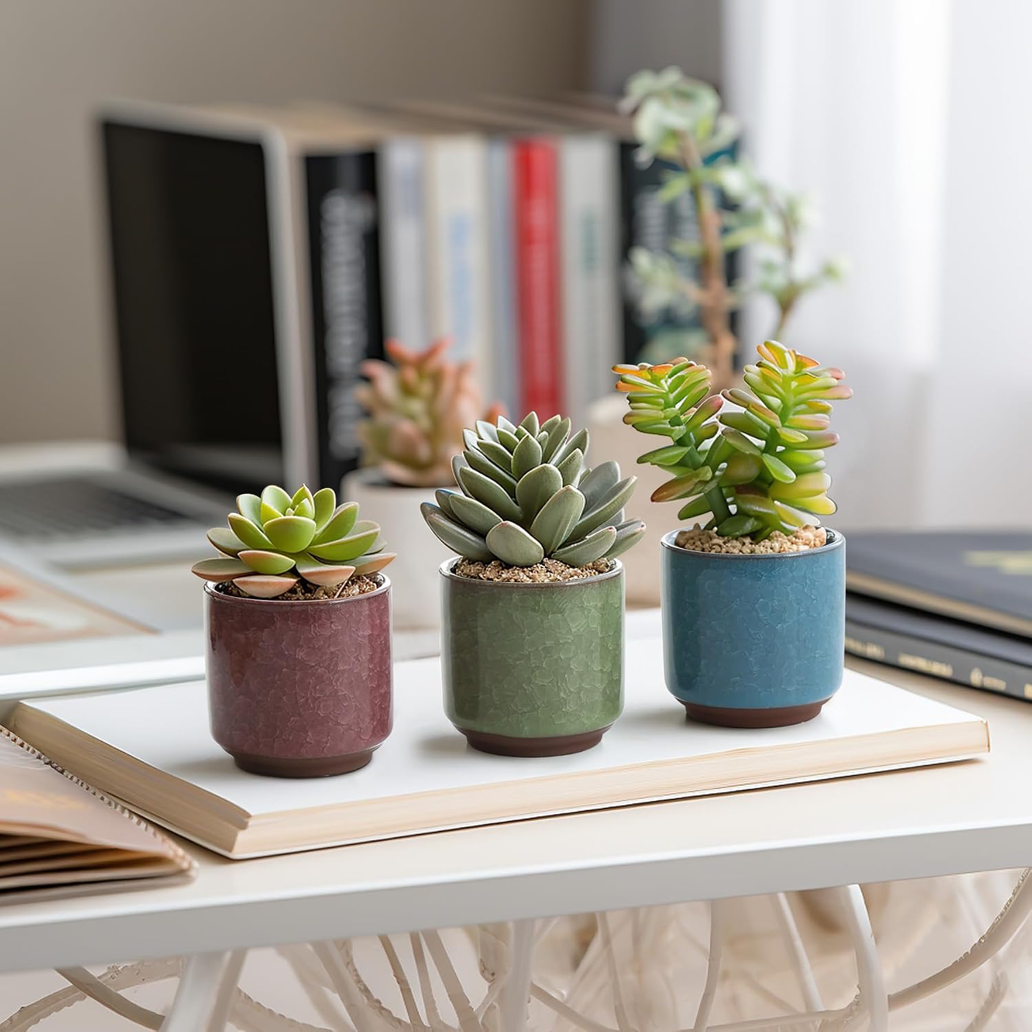 T4U 2.5 Inch Small Ceramic Succulent Planter Pot with Drainage Hole Set of 6, Ice Crack Glaze Plant Container for Cactus, Gardening Plant Gifts for Women Mom Aunt Home Office Decor | Cactus planters set, indoor herb garden, bonsai tree starter, tabletop…