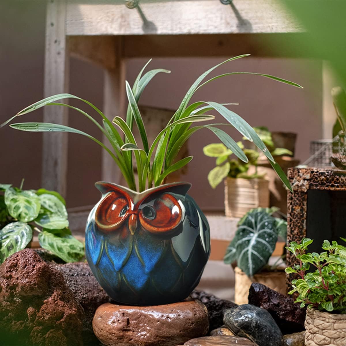 GeLive Blue Owl Ceramic Succulent Planter with Drainage Hole Animal Plant Pot Tabletop Decoration Vase Window Box Indoor Outdoor Decor (Blue)
