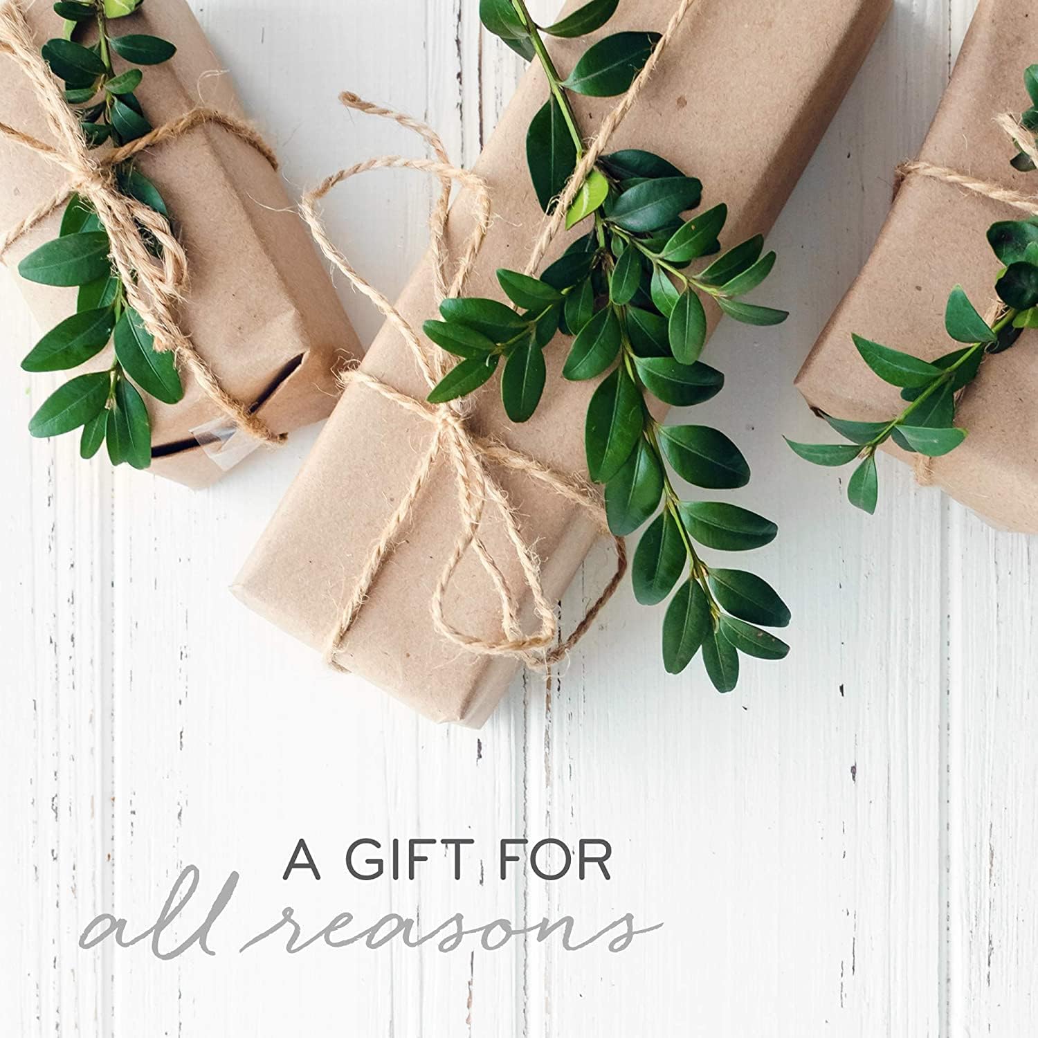 Thymes Frasier Fir Candles - Statement Collection - Silver with Pine Needle Design - Scented Candles for Home Decor - Notes of Siberian Fir Needles, Cedarwood & Sandalwood - Large 4 Wick (40 oz)