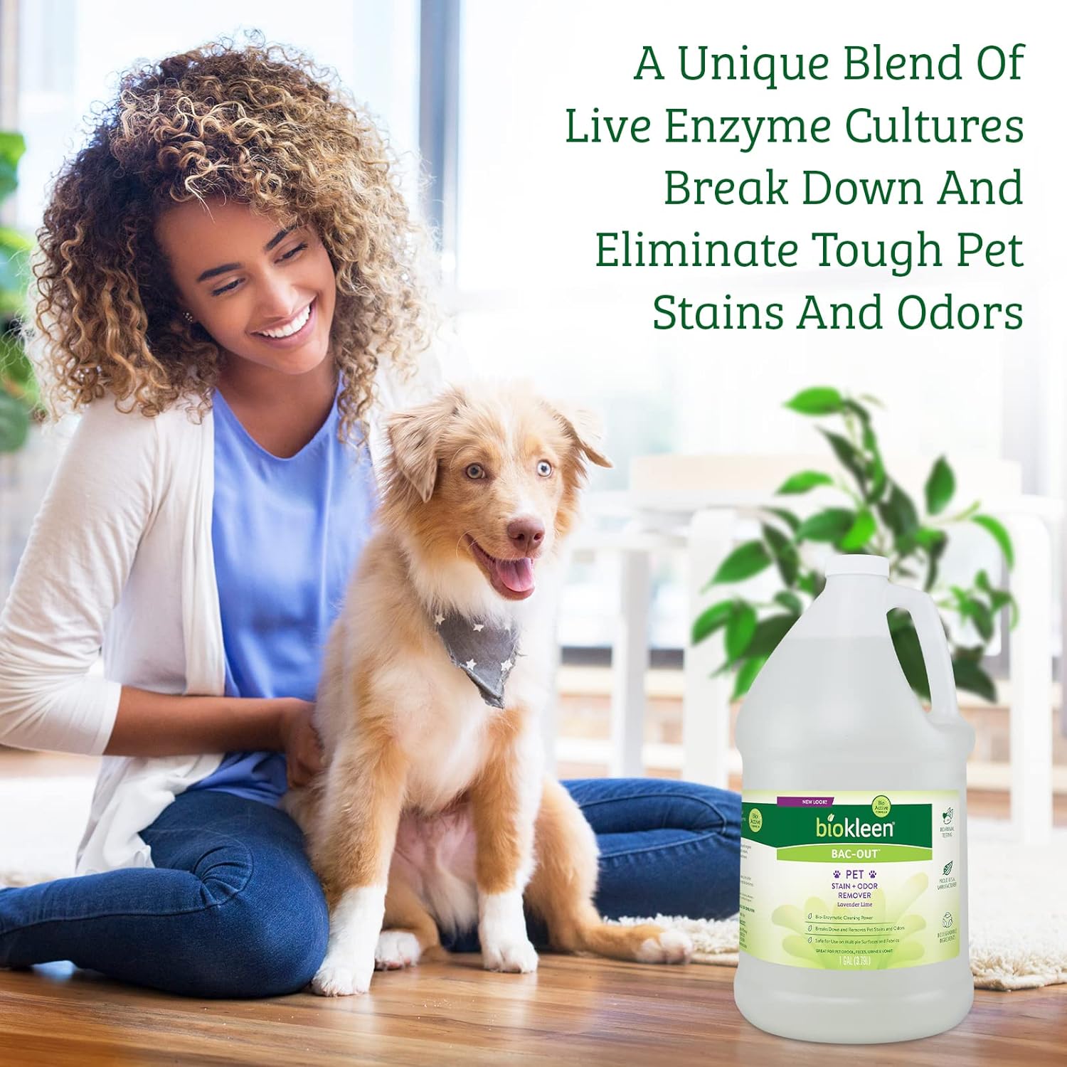 Biokleen Bac-Out Pet Stain Remover - Enzymatic, Natural, Plant-Based Destroys Stains & Odors, Safe for Surfaces & Fabrics