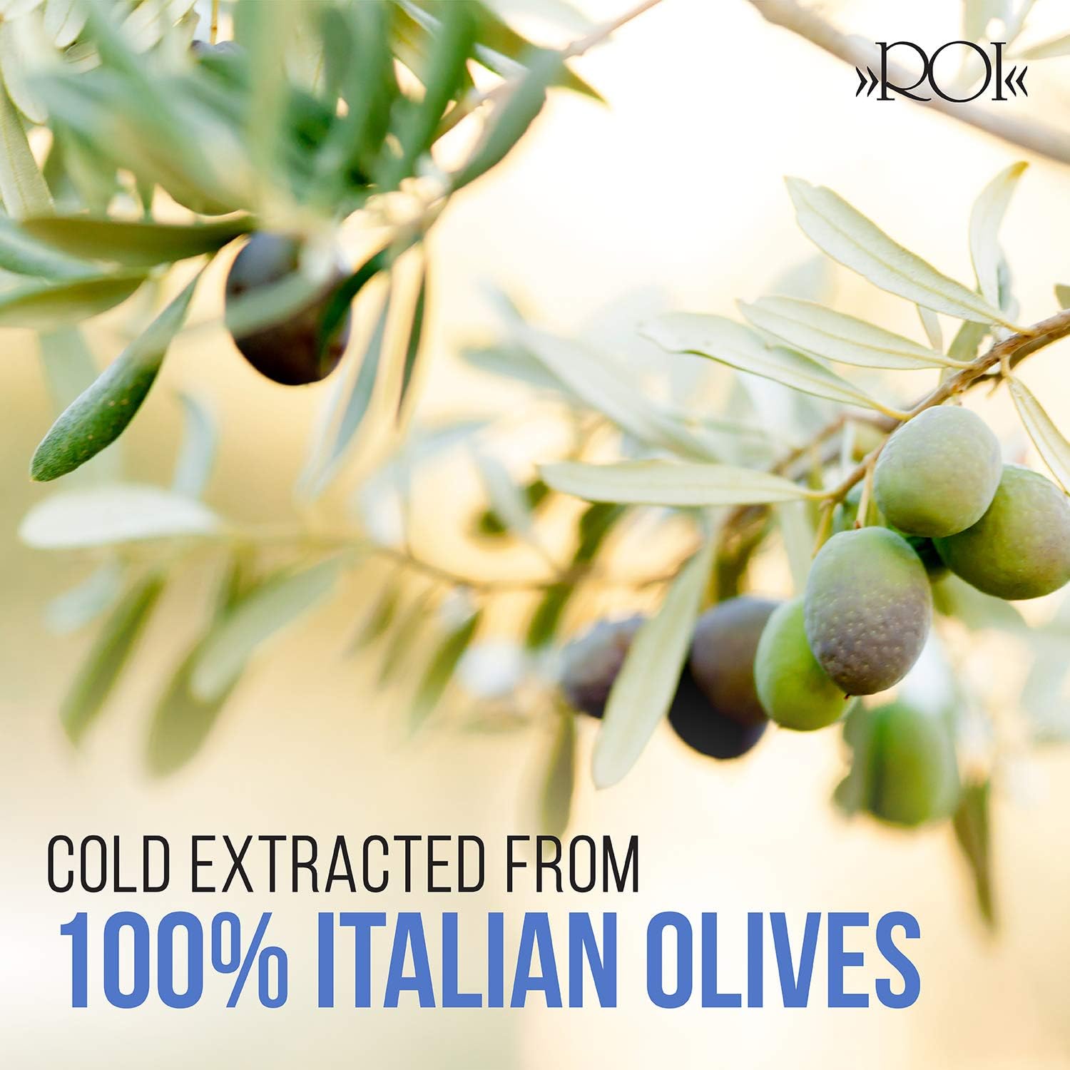 ROI Premium Ligurian Italian Extra Virgin Olive Oil First Cold Pressed - Gourmet Mosto Olive Oil Imported from Italy, High in Polyphenols, 17 fl oz (500 ml)