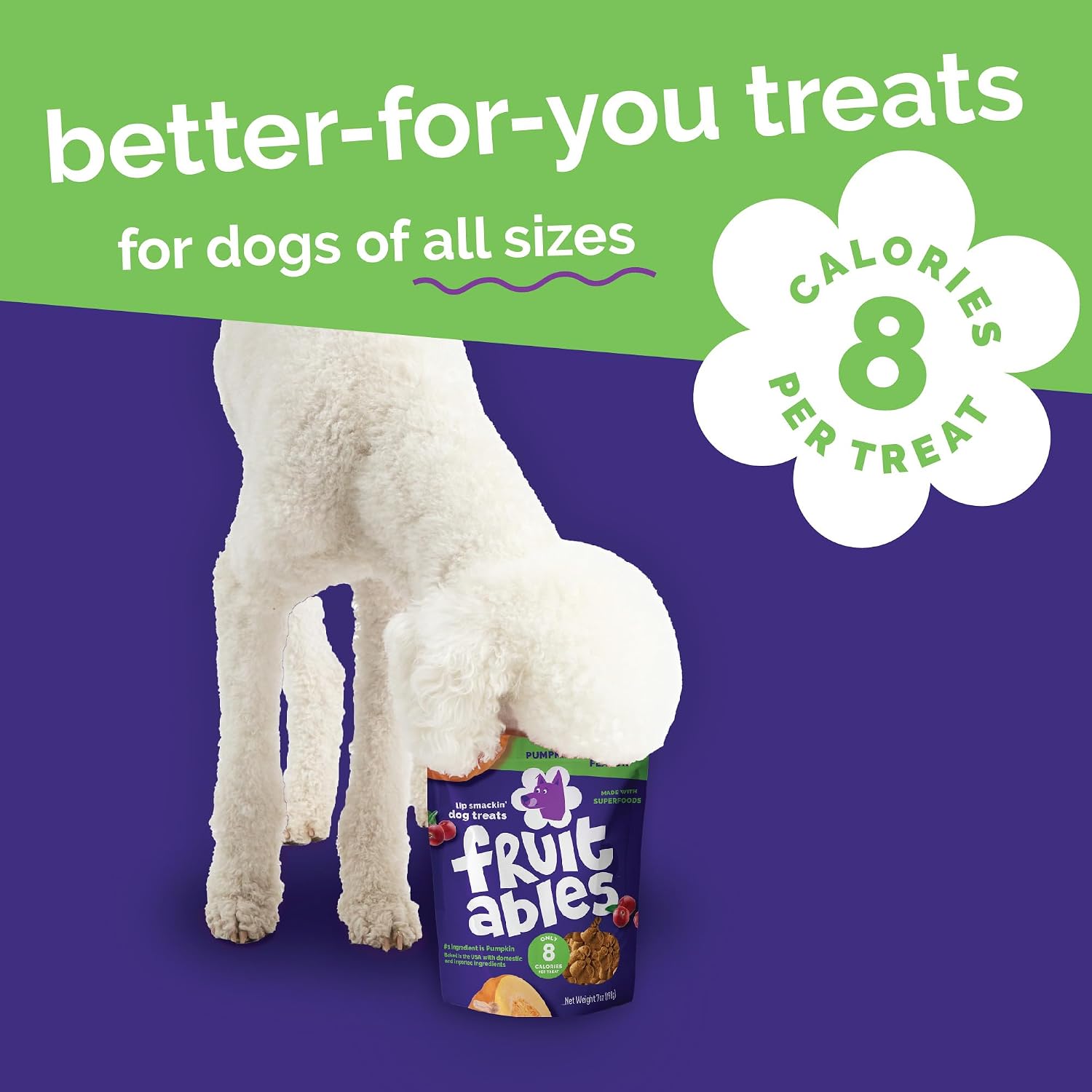 Fruitables Baked Dog Treats, Low Calorie Treats, Pumpkin & Banana, 7oz | Healthy Dog Treats, Training Treats, Crunchy Dog Biscuits, Limited Ingredient Recipe, Healthy Puppy Snacks, Made in USA