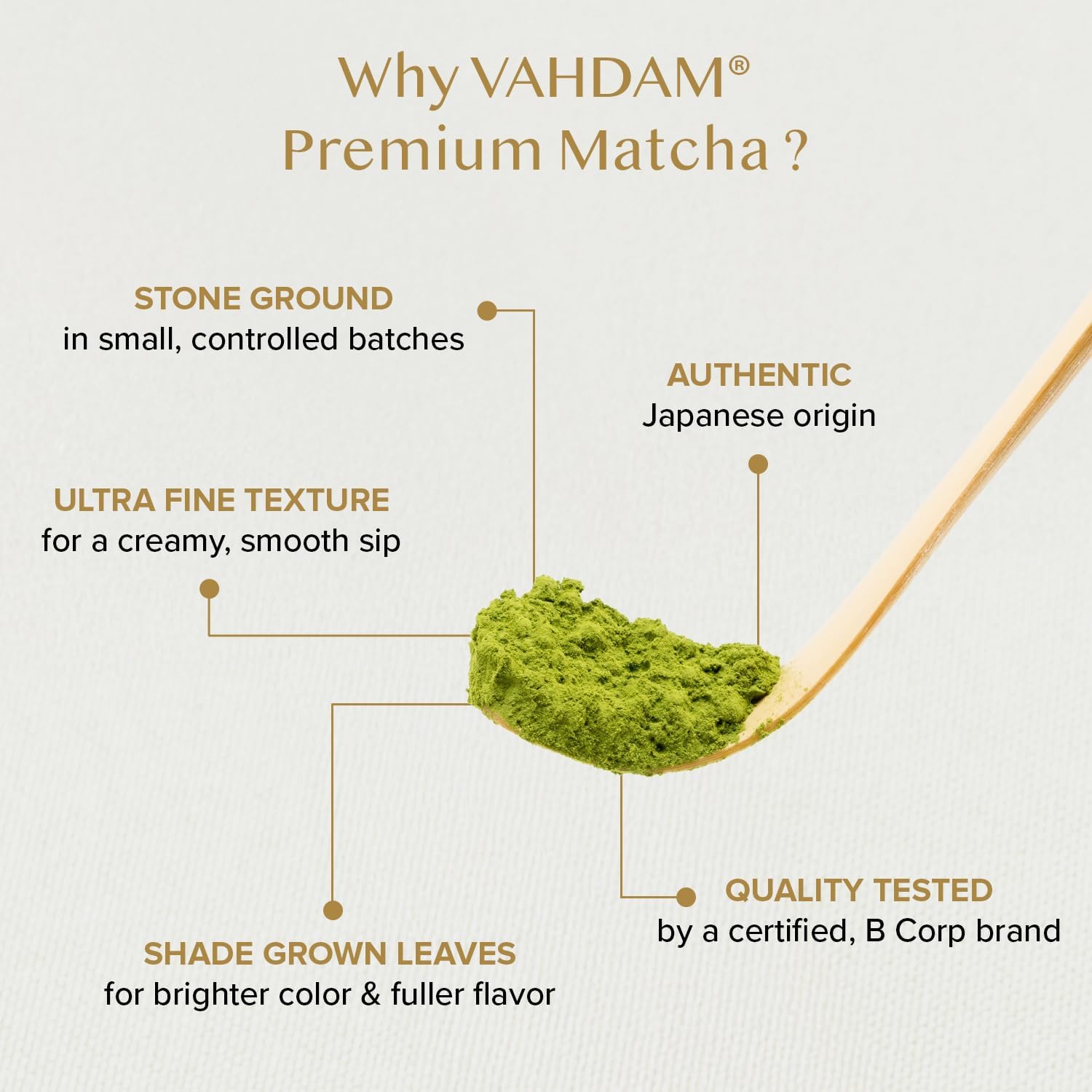 VAHDAM, Green Tea Leaves From Himalayas 170+ Cups (12oz) High Elevation Grown Green Tea Leaves From Himalayas | Pure Unblended Single Origin Green Loose Leaf Tea | Vacuum Sealed