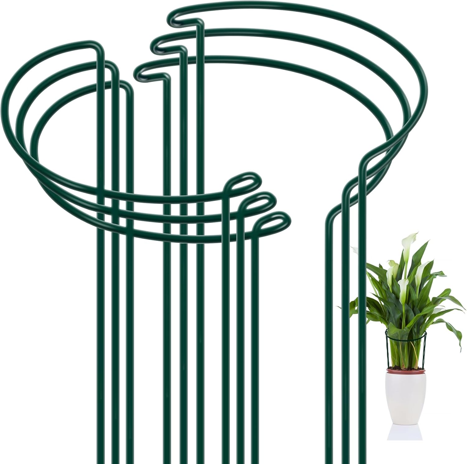 FEED GARDEN Peony Cages and Supports, 6 Pack Plant Support Stakes for Outdoor & Indoor Plants