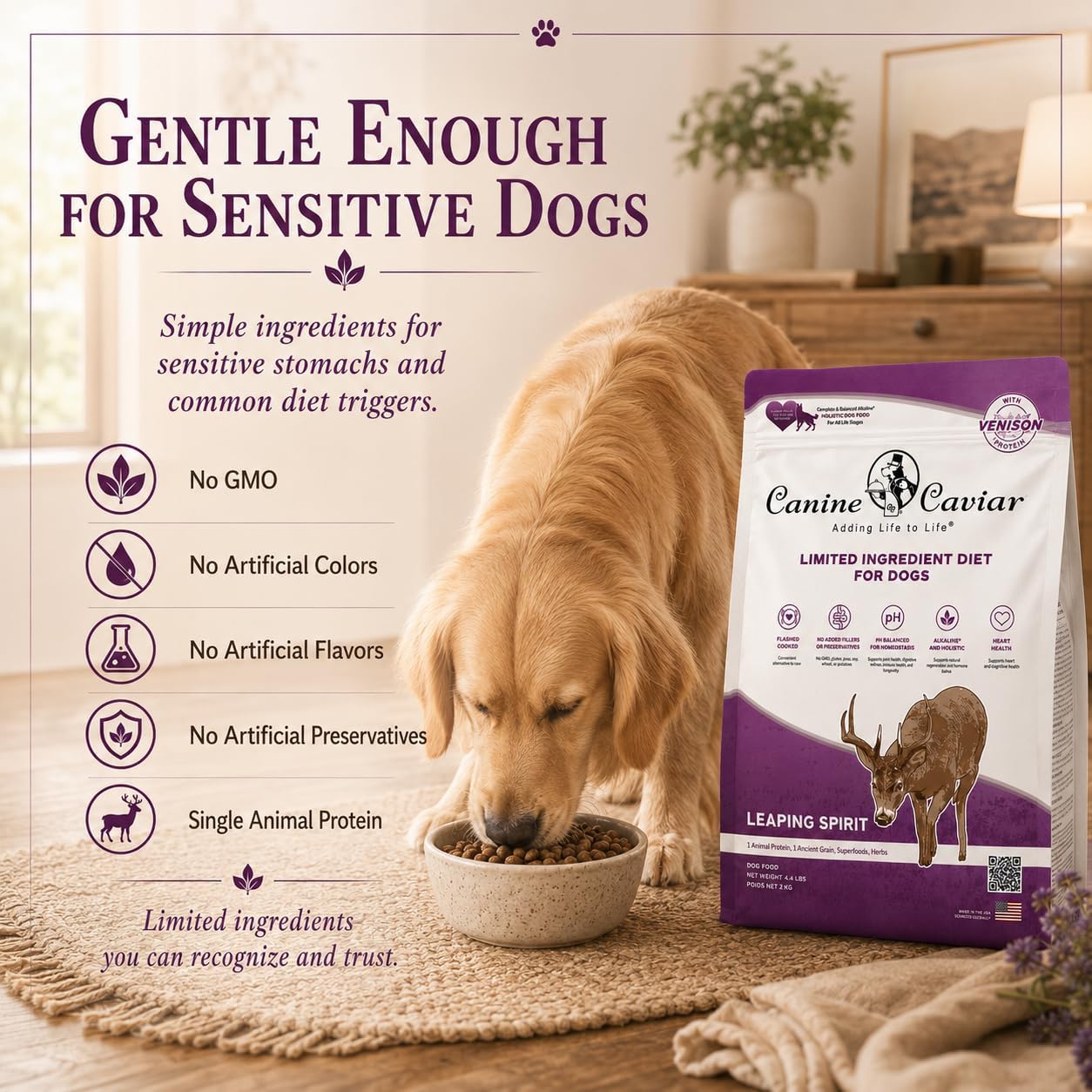 Canine Caviar - Open Range: Water Buffalo & Chickpea Alkaline Dry Dog Food, Limited Ingredients, Gluten-Free, Based on Science & Research, Veterinary Alternative Diet (22 Pound Bag)