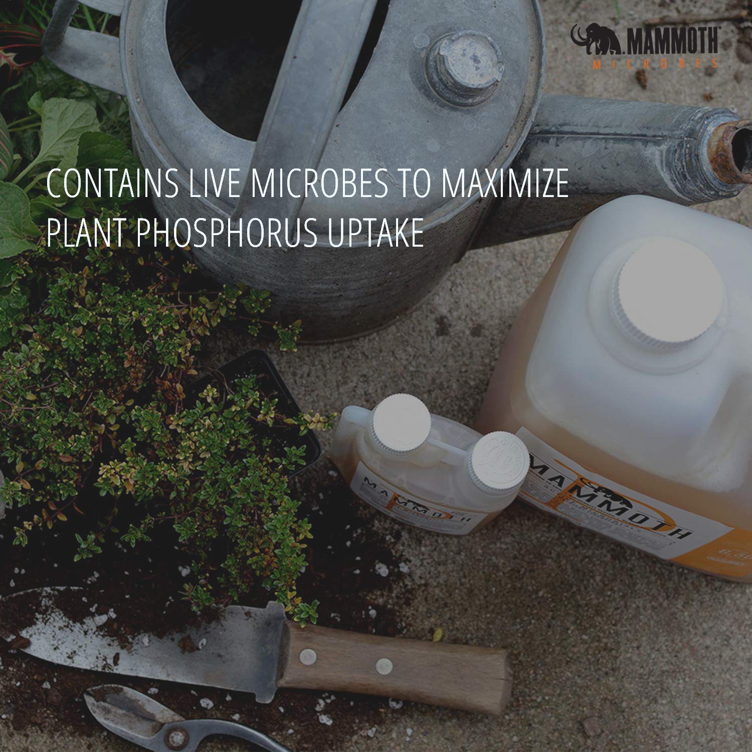 Mammoth Organic Bloom Booster | Mammoth P Organic Fertilizer Microbial Inoculant | 16% Proven Increase in Yield (250 ml)