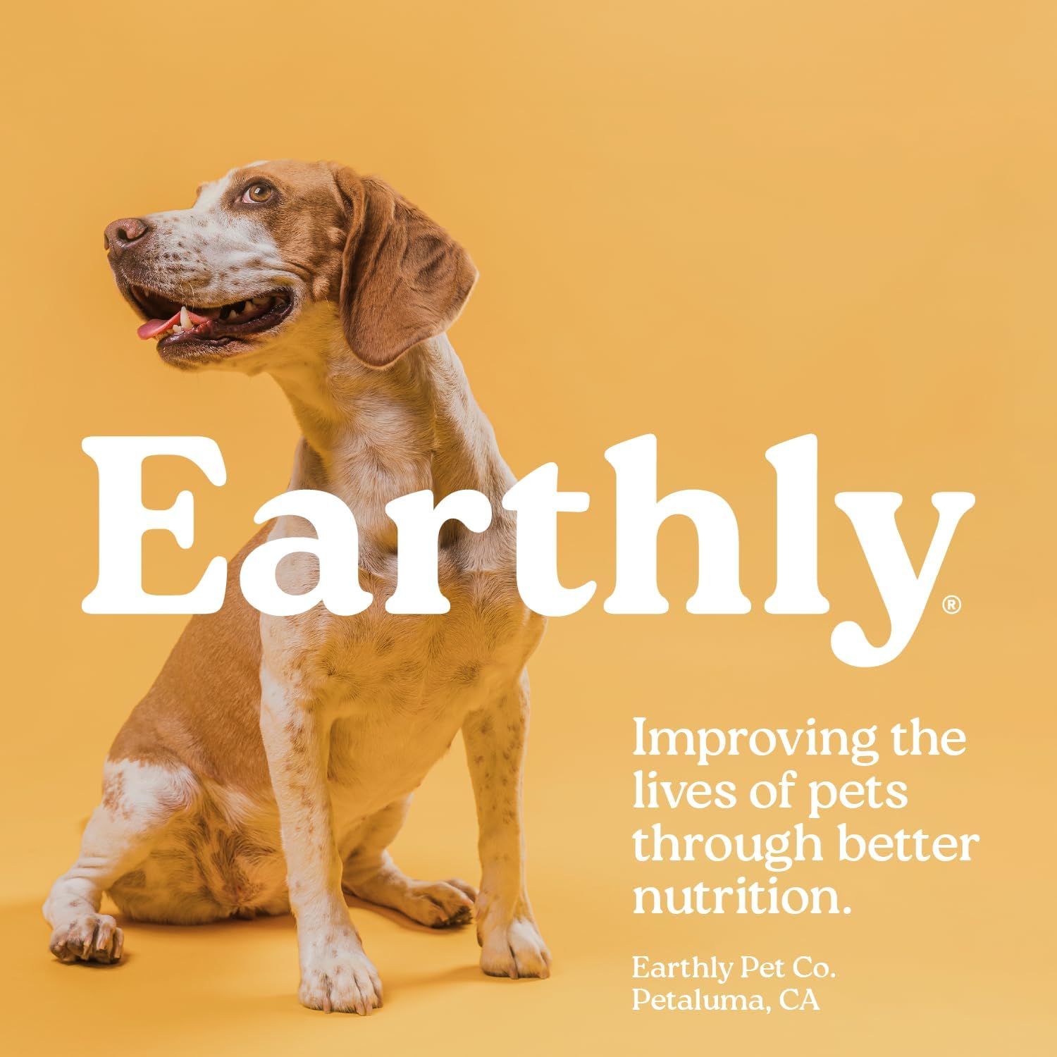 Presidio Earthly Pill Buddy Naturals - PB & Banana Recipe Pill Hiding Treats for Dogs - Make A Perfect Pill Concealing Pocket Or Pouch for Any Size Medication - 30 Servings
