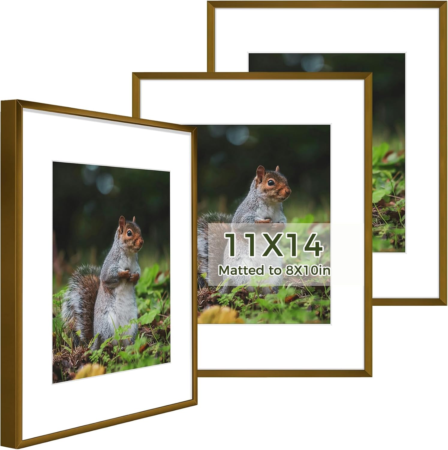 Golden State Art 3 Pack 12x12 Black Aluminum Frames, Real Glass Fronts