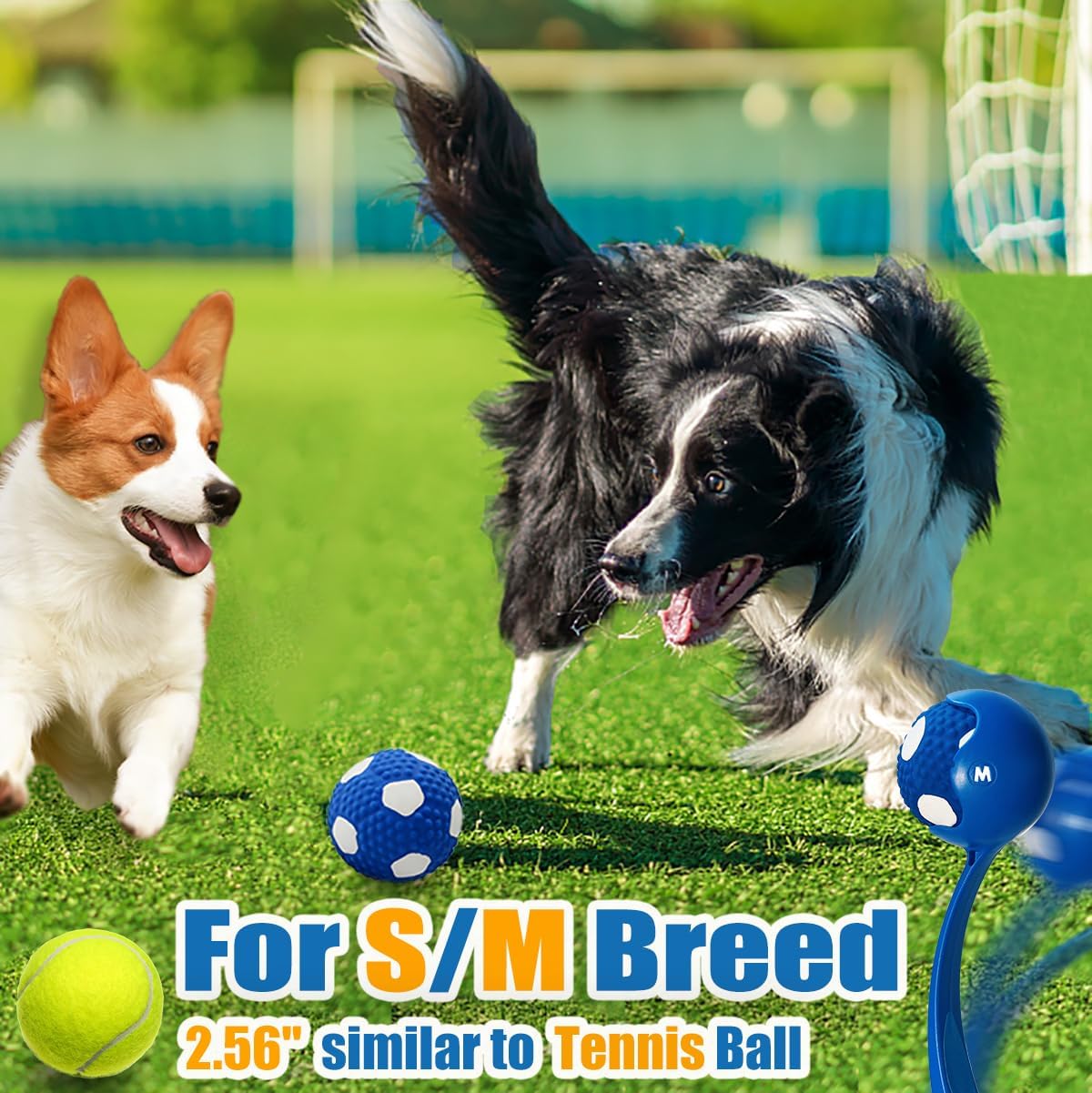 Soft Squeaky Dog Balls for Medium Dogs and Small Breeds, 2.56" 3pcs