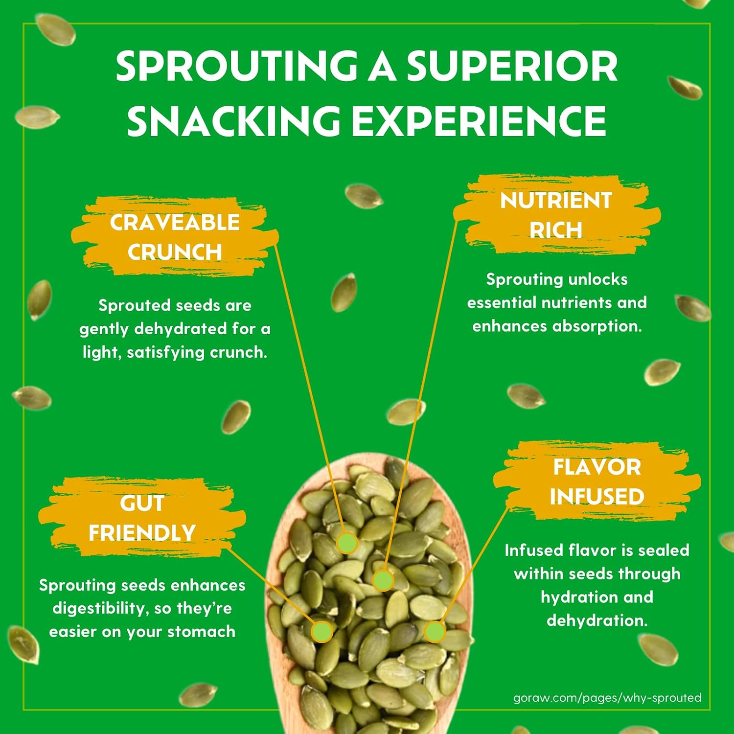 Go Raw Organic Sprouted Pumpkin Seeds - Sea Salted Pepita Snack | Keto, Non-GMO, Vegan, Gluten-Free, Kosher, Paleo, Protein-Packed Superfood, Healthy Vegan Snack for Adults and Kids, 14oz Bag