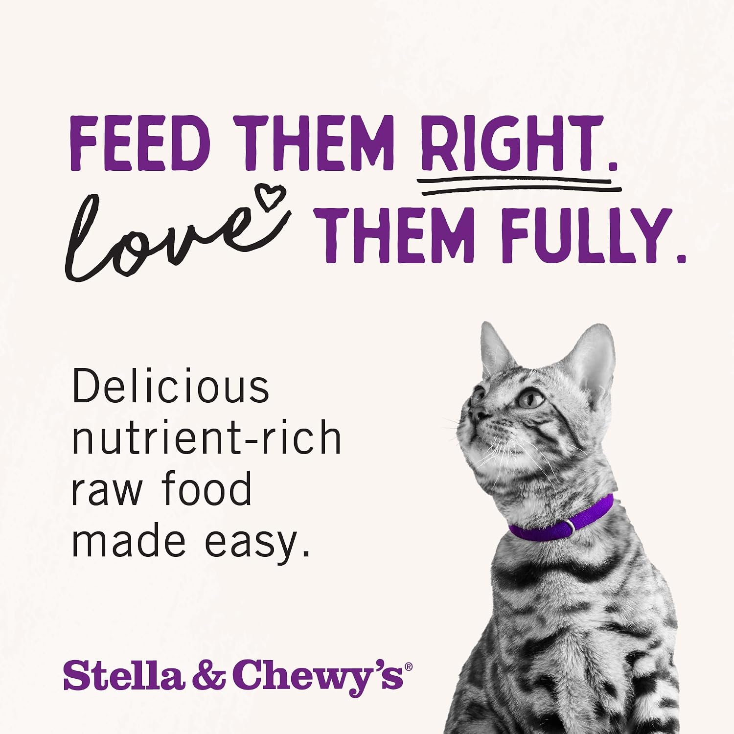 Stella & Chewy's Freeze-Dried Raw Cat Dinner Morsels - Premium Chicken Recipe with 98% Cage-Free Meat & Organs - Natural Grain-Free Cat & Kitten Food - Made in USA - 18 oz