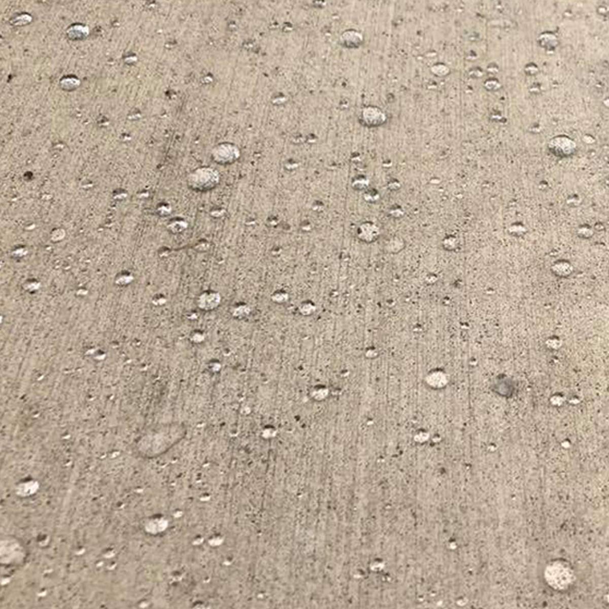 Concrete/Masonry Siloxane Odorless Spray-On Application Waterproofer, Safe for Use Around Plants, Pets, and People, 1 Gallon