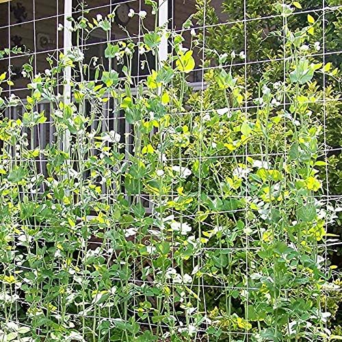Toolazy Trellis Netting 5 x 350 ft - Heavy Duty Nylon Garden Netting with 6 Inch Mesh, Soft Plant Support Net for Tomatoes, Cucumbers, Peas