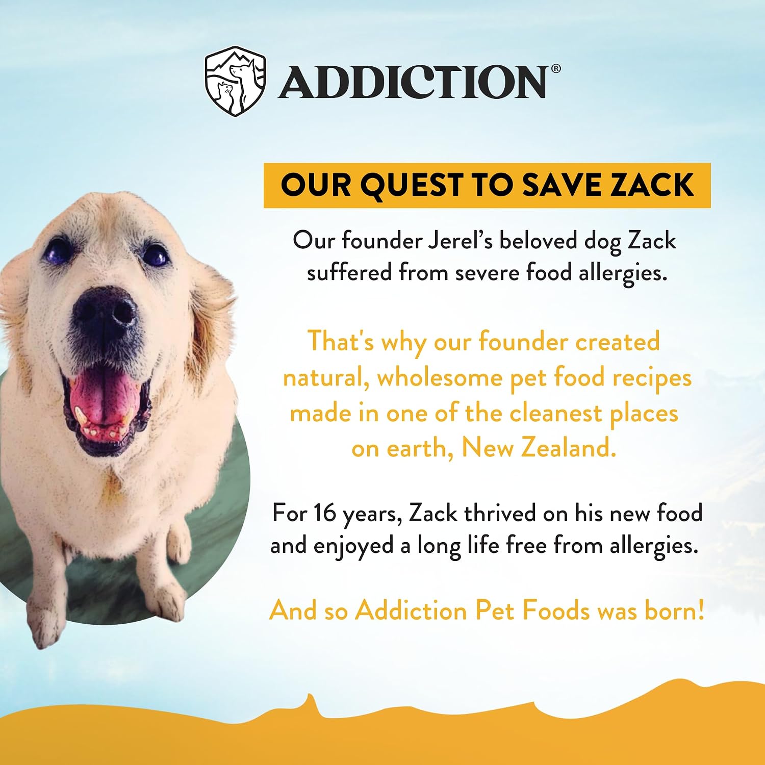 Addiction Venison Recipe Meaty Bites, All Natural Free Range Grain Free High Meat Dog Treats, 4 Oz.
